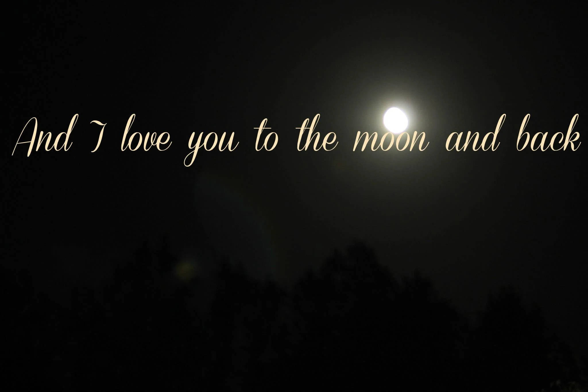 moon quotes 桌布 壁紙 — 明亮的滿月在黑暗的樹木剪影上方發光，帶有浪漫的草書文字疊加。