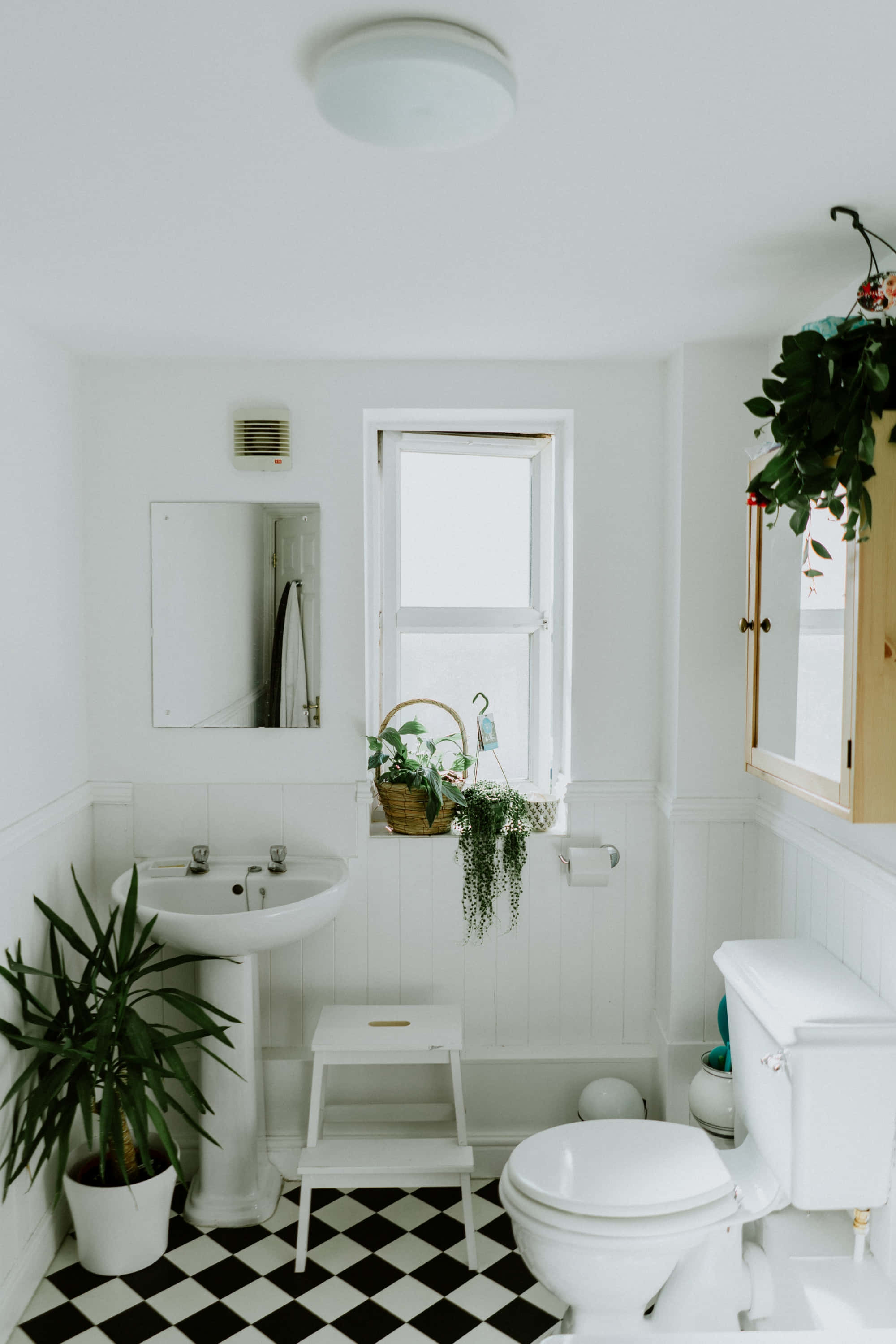 bathroom 桌布 壁紙 — 明亮的白色浴室，配有黑白棋盤格地板、盆栽植物和窗戶的自然光。