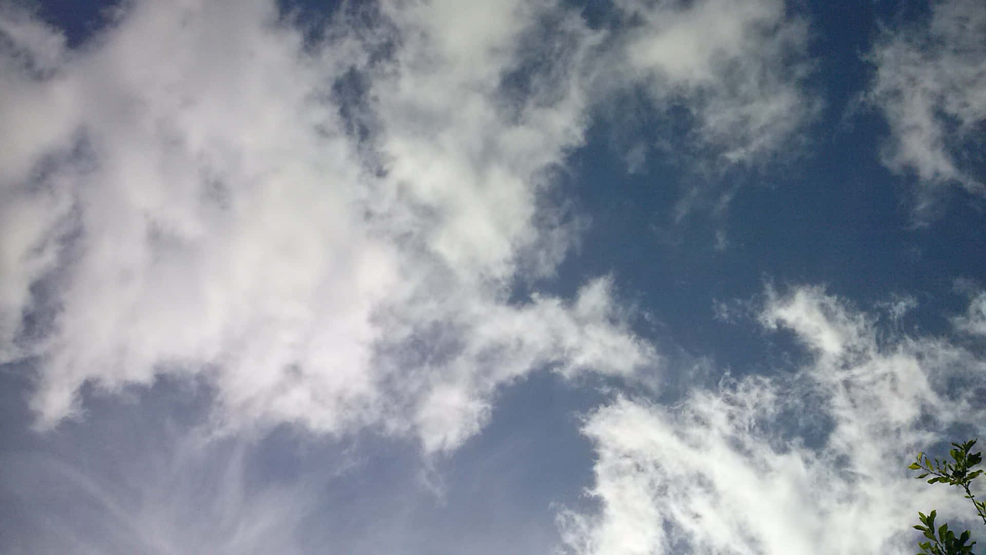 WHISPY CLOUD 壁紙 — 明亮的藍天佈滿蓬鬆的白雲，右下角隱約可見綠色樹枝。