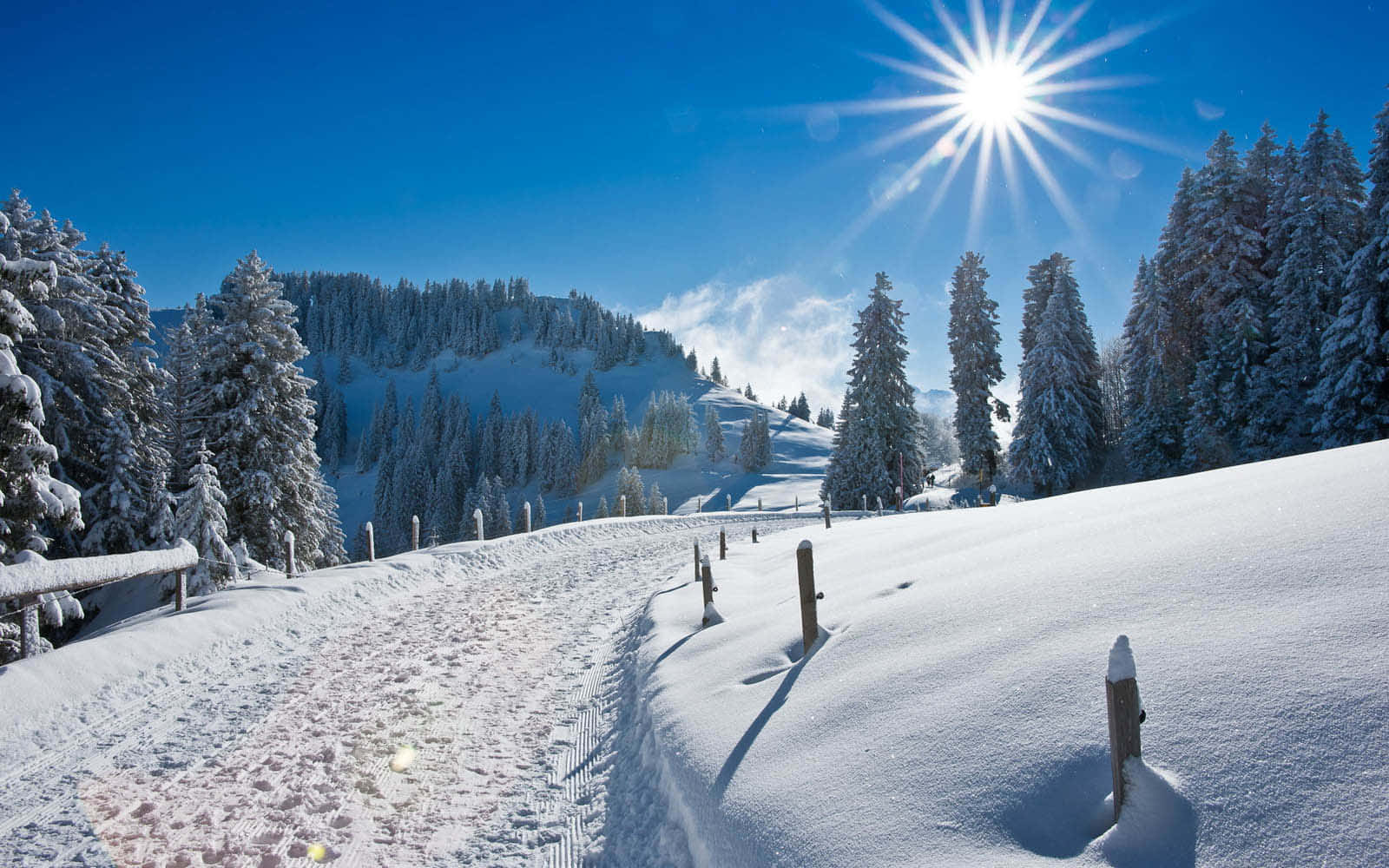 Road 桌布 壁紙 — 明亮的陽光照耀在白雪覆蓋的山路上，兩旁是結霜的松樹，天空清澈湛藍。