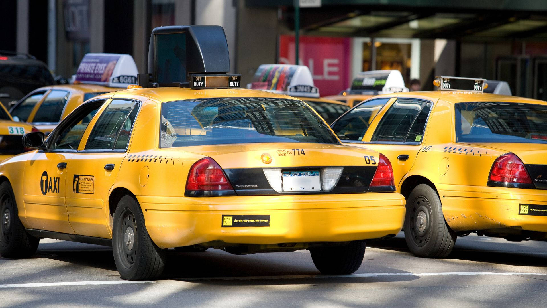 taxi 桌布 壁紙 — 明亮的黃色計程車在晴朗的白天排列在繁忙的城市街道上，標誌和車牌清晰可見。