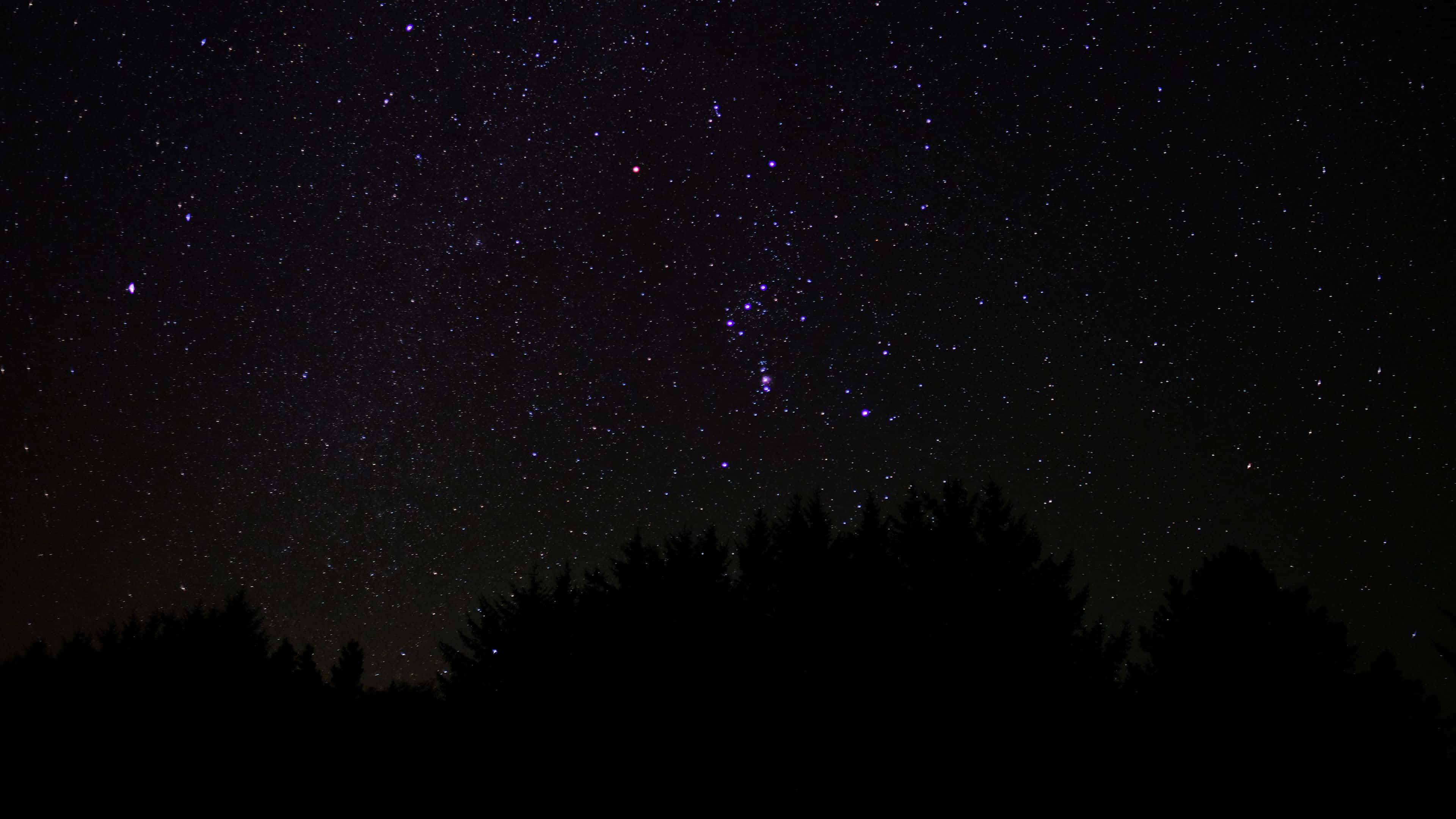 Night Time 桌布 壁紙 — 星夜天空，一個突出的星座拱起在森林樹線的黑暗剪影之上。