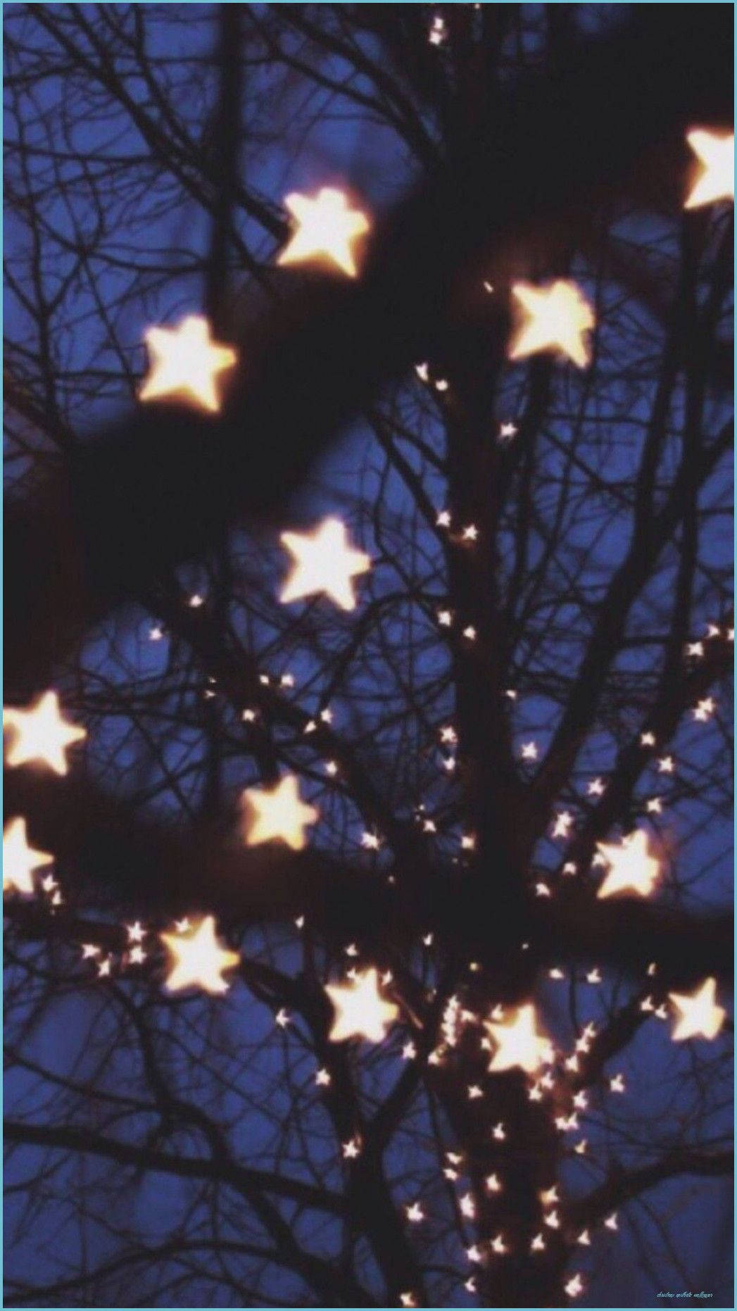 Christmas Lights Aesthetic 桌布 壁紙 — 星形燈光在深藍色黃昏天空的襯托下閃爍，周圍是光禿禿的樹枝。