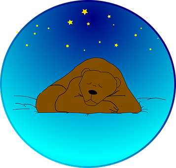星空下安睡的熊 壁紙
