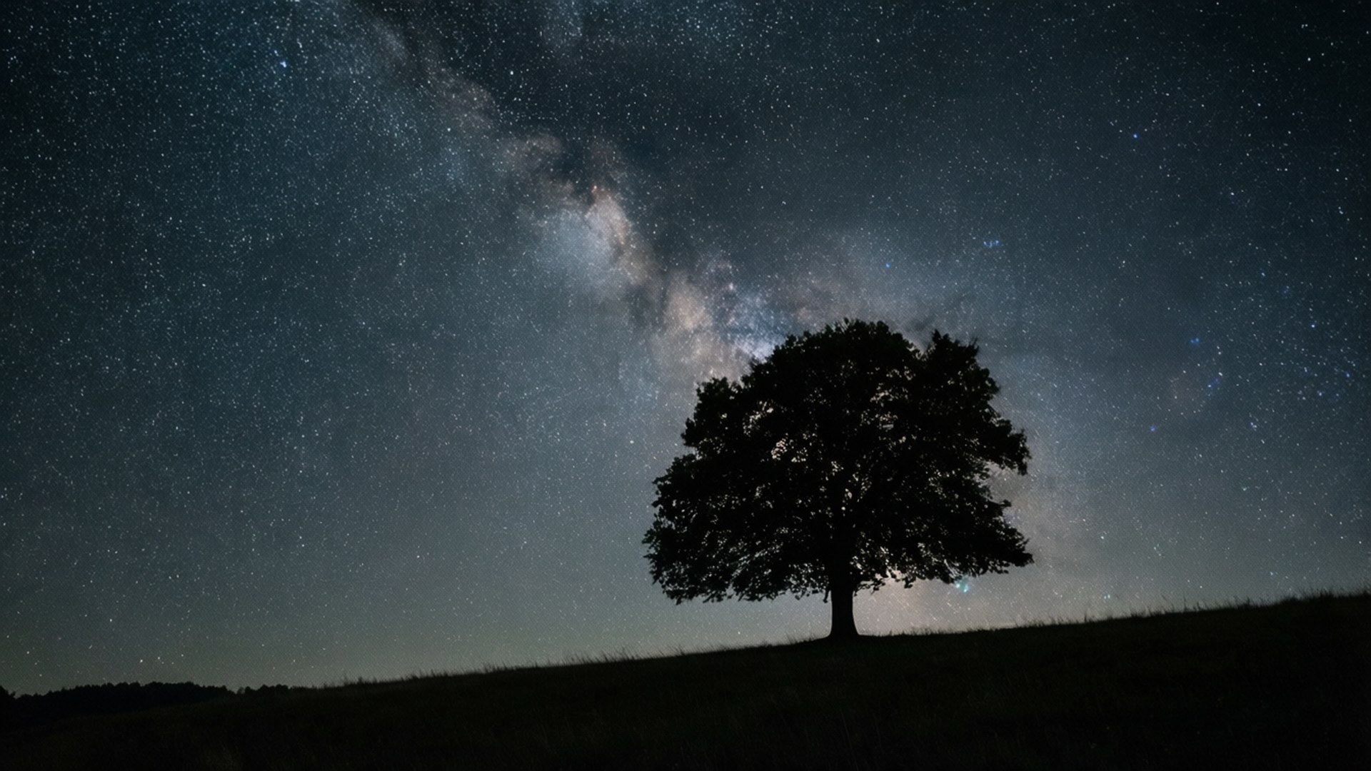 星空下的孤樹 壁紙