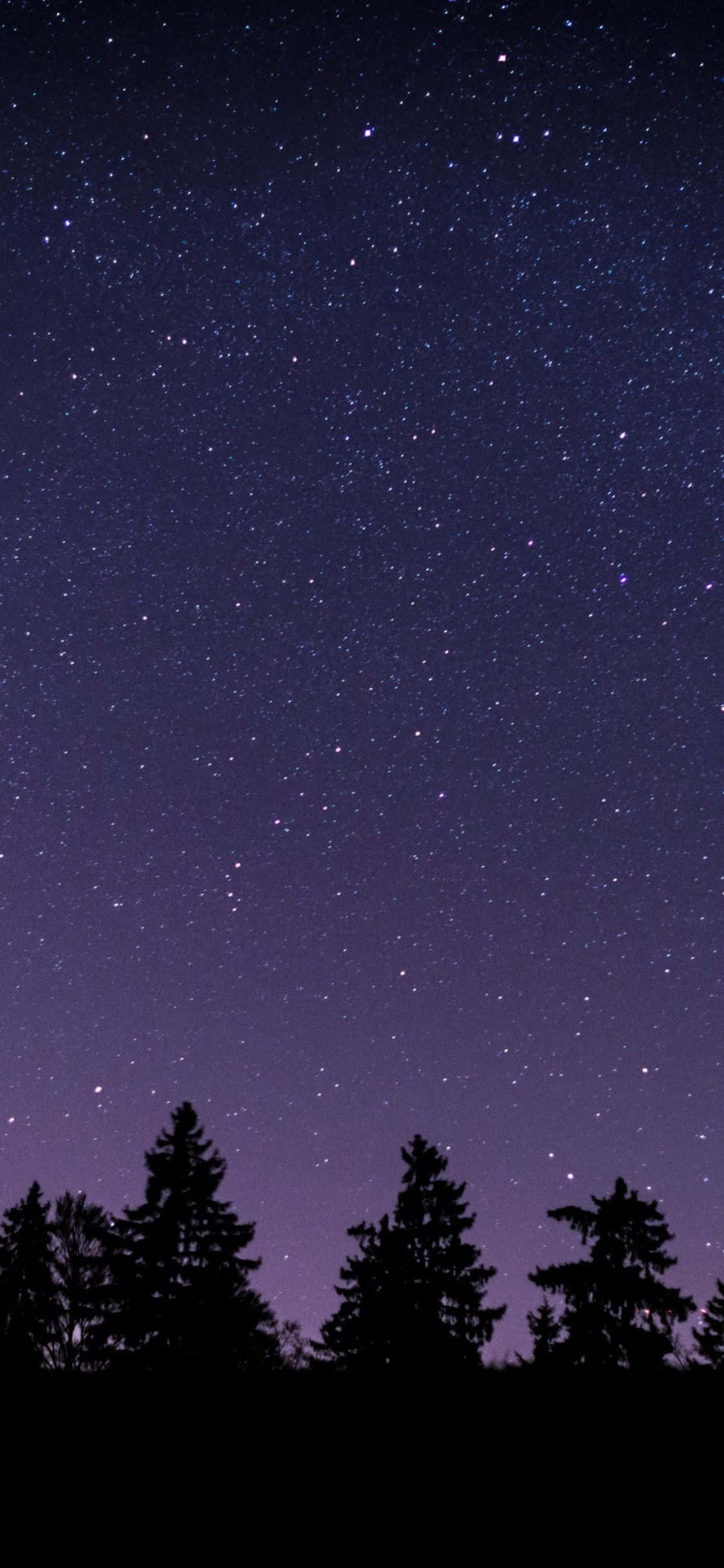 1125x2436 桌布 壁紙 — 星空之夜，深色松樹剪影上方帶有紫色漸層。