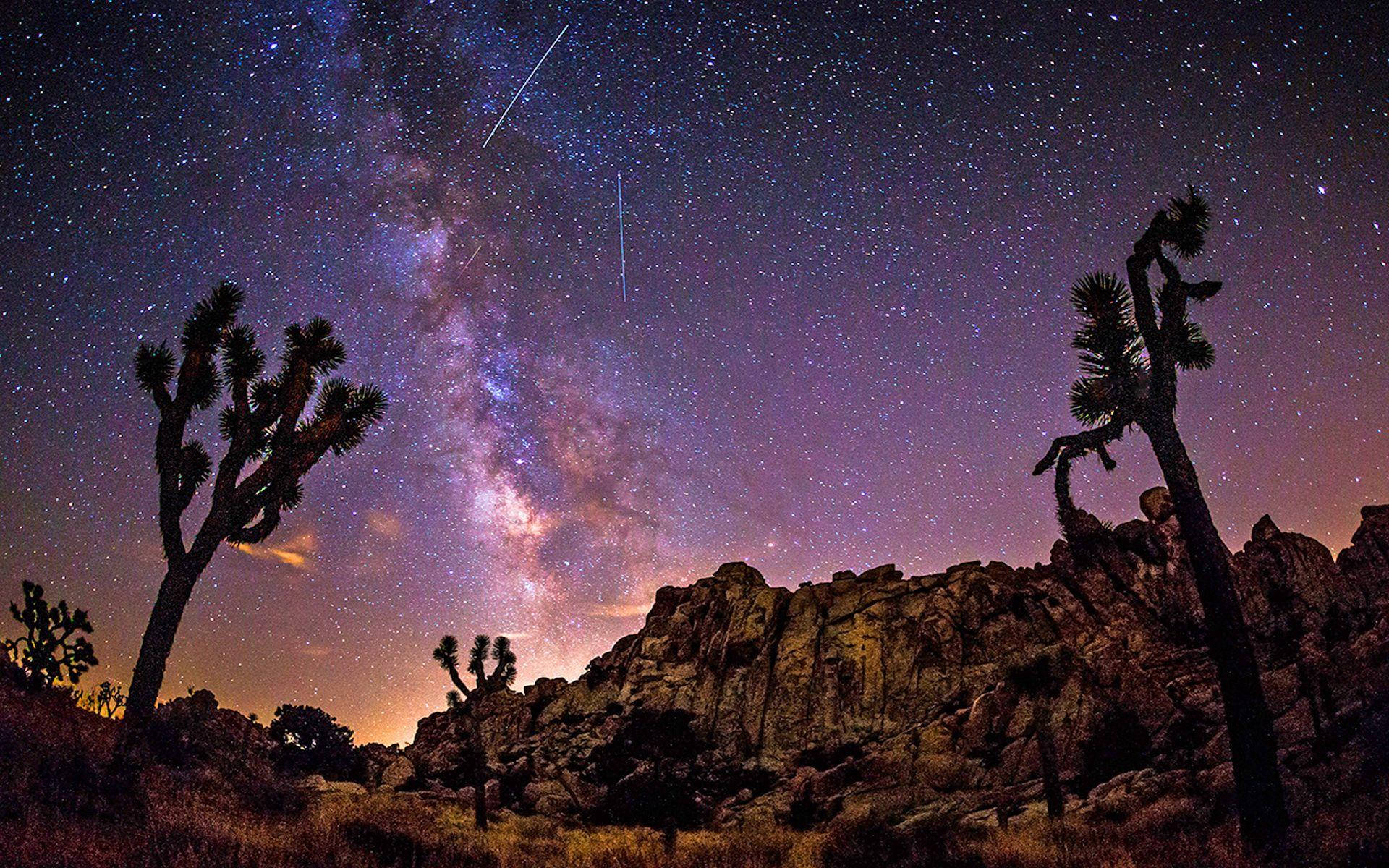 Joshua Tree National Park 桌布 壁紙 — 星空之夜，銀河在剪影的約書亞樹和岩石沙漠地形上閃耀。