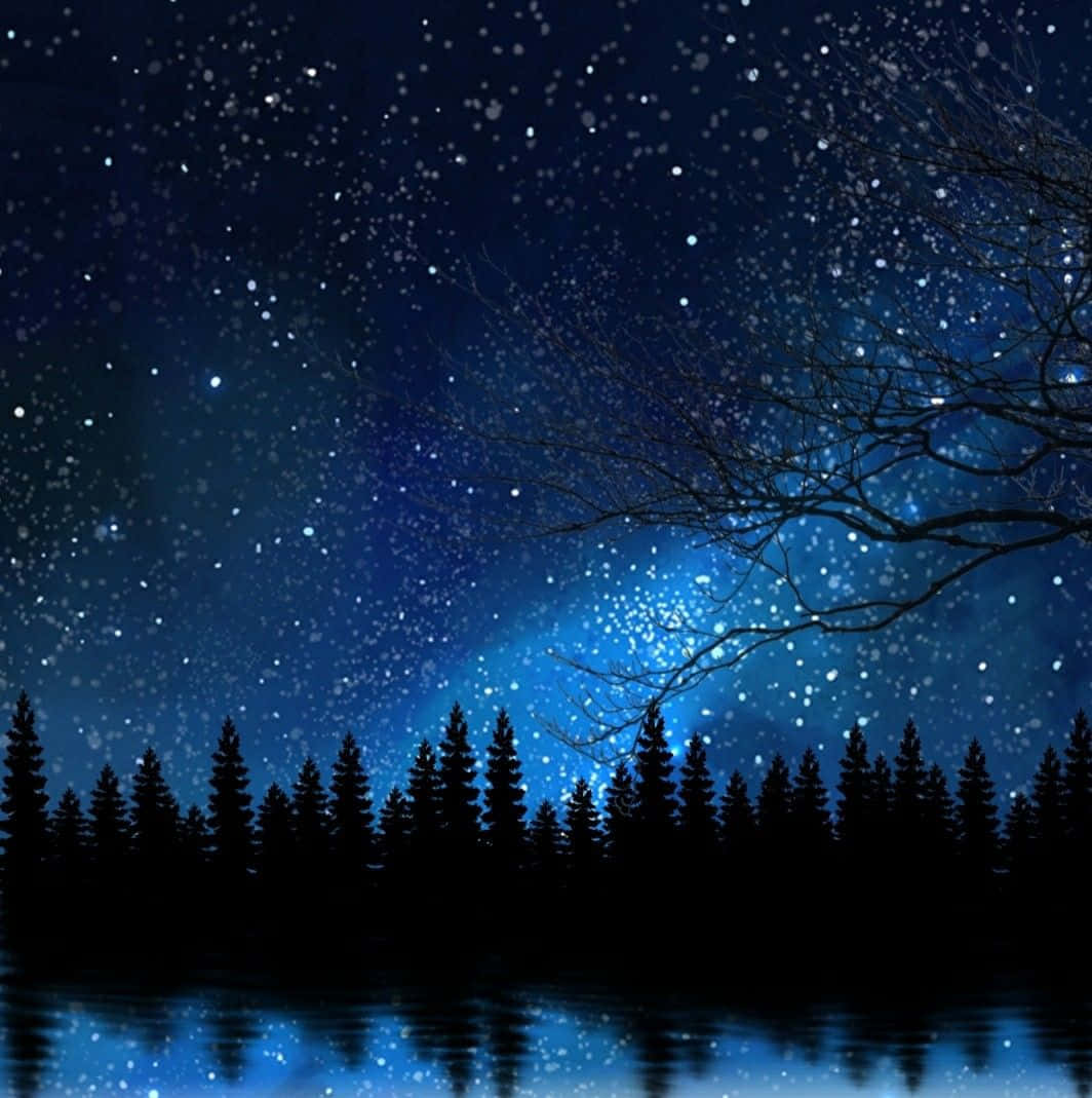 Beautiful Forest 桌布 壁紙 — 星空之夜在平靜的湖面上倒映，下方是松樹和光禿樹枝的剪影。