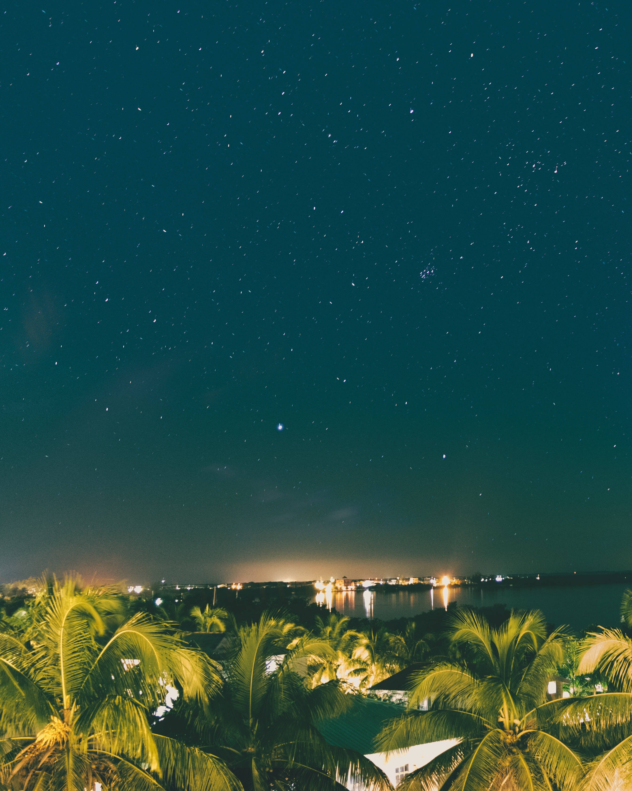 Belize 桌布 壁紙 — 星空夜空在棕櫚樹和遠處發光海岸線上方閃耀。