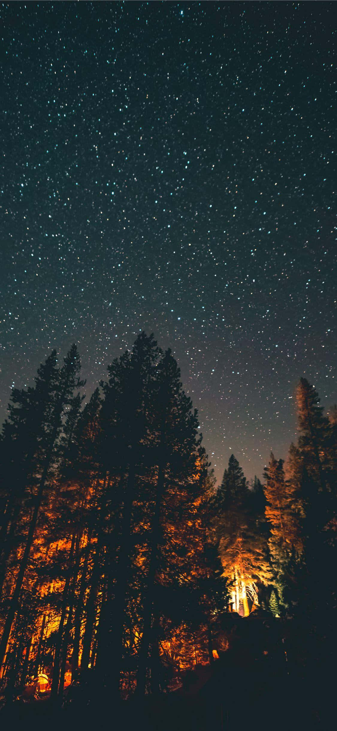 iPhone 桌布 壁紙 — 星空夜空在森林上方拱起，樹木從下方看不見的火中散發出溫暖的光芒。
