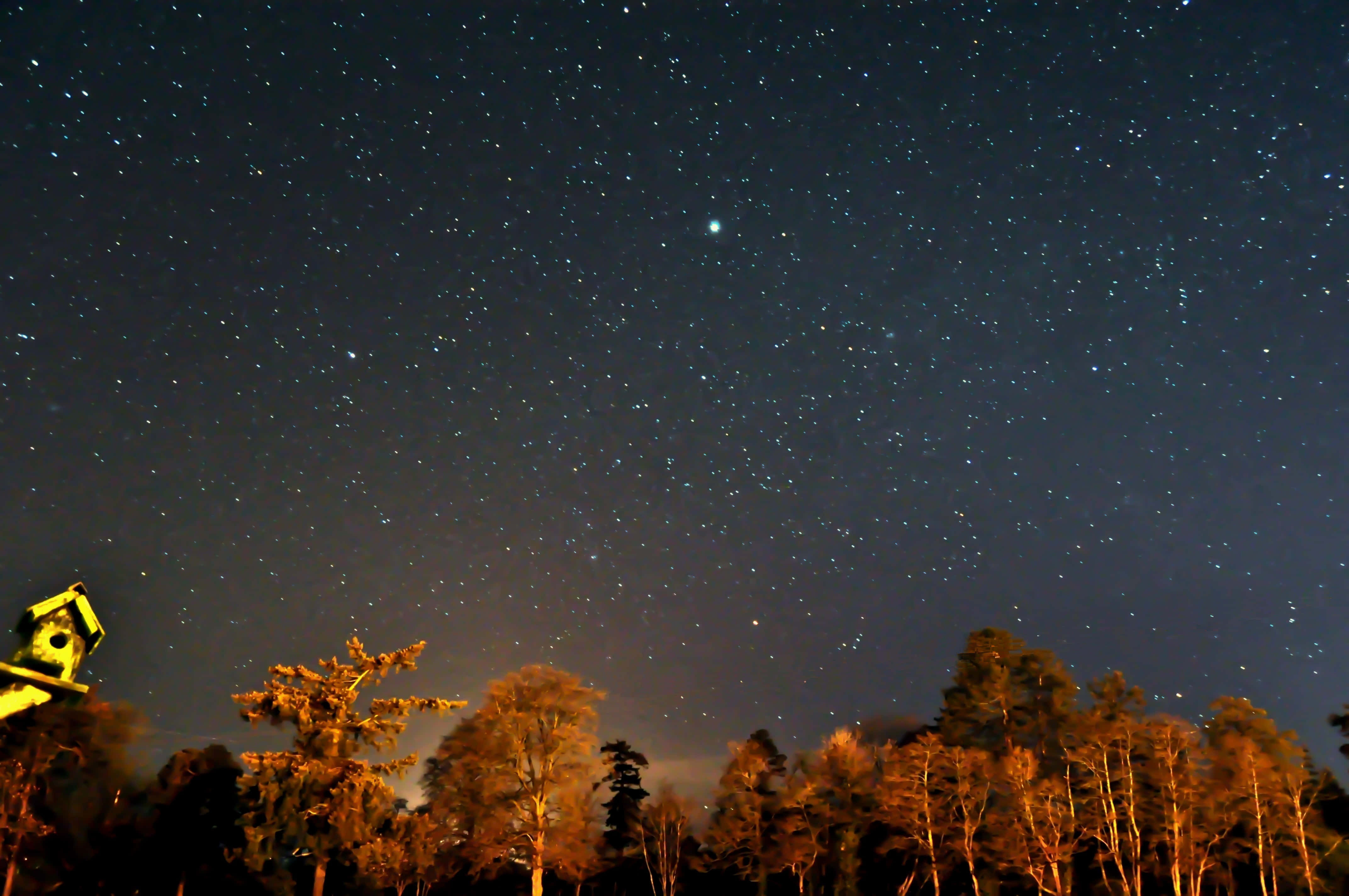 Starry Sky 桌布 壁紙 — 星空夜空在森林剪影上方發光，前景有一個發光的鳥舍。