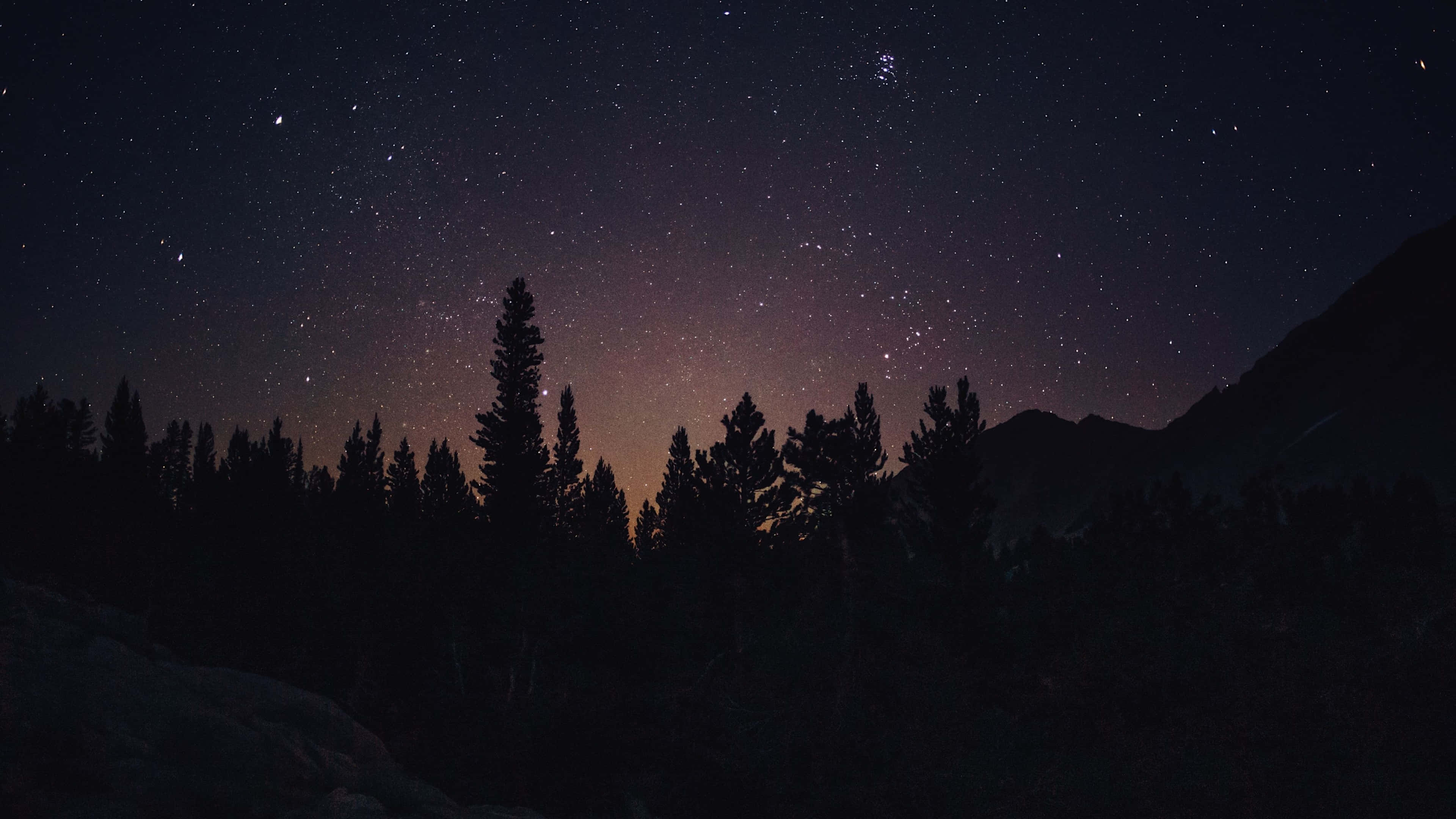 Night Forest 桌布 壁紙 — 星空夜空在遠處有山脈的黑暗森林剪影上方閃耀。