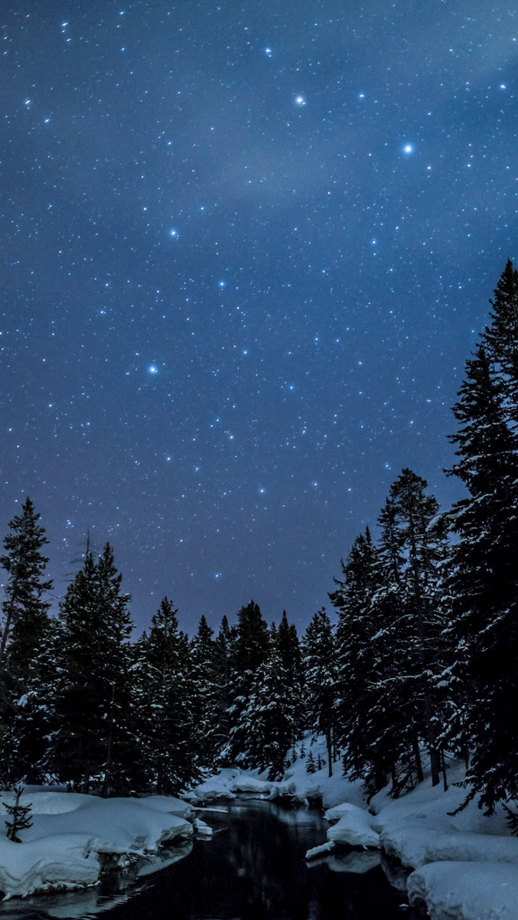 森林 桌布 壁紙 — 星空夜空覆蓋著白雪覆蓋的森林，下方有一條黑暗蜿蜒的河流。