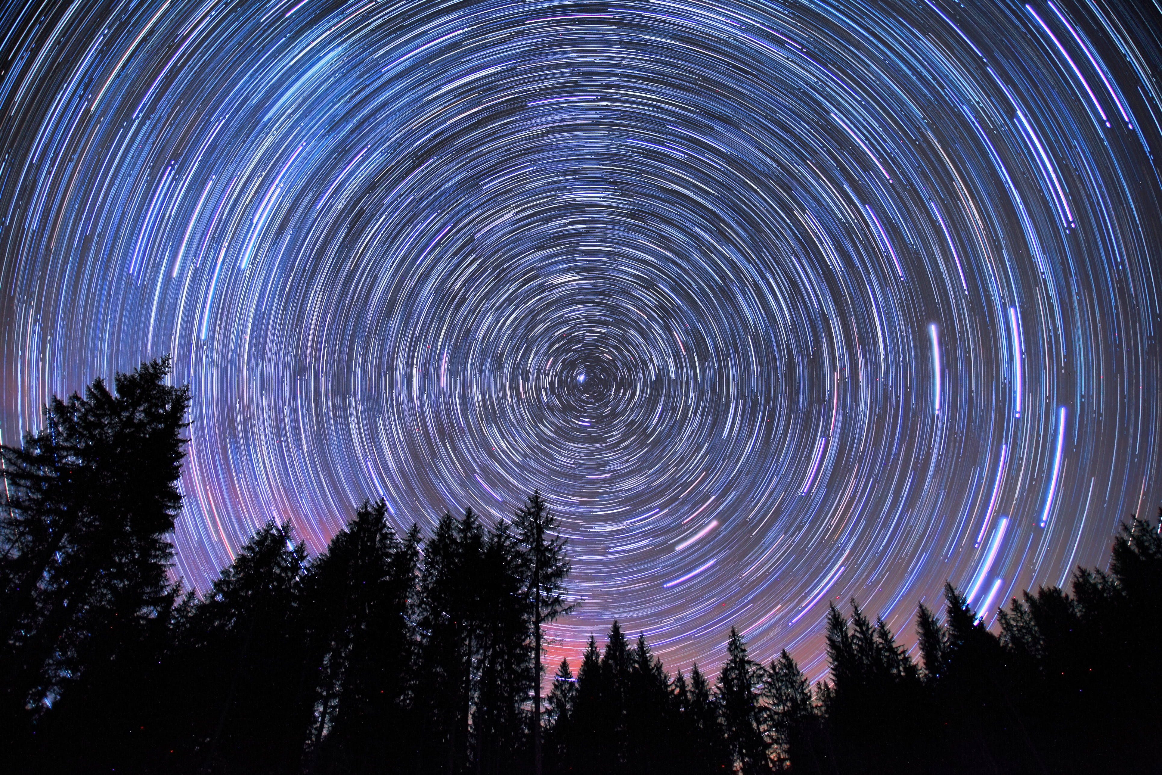 Starry Sky 桌布 壁紙 — 星軌在夜空下以鮮豔的藍色和紫色螺旋環繞在黑暗森林的剪影之上。