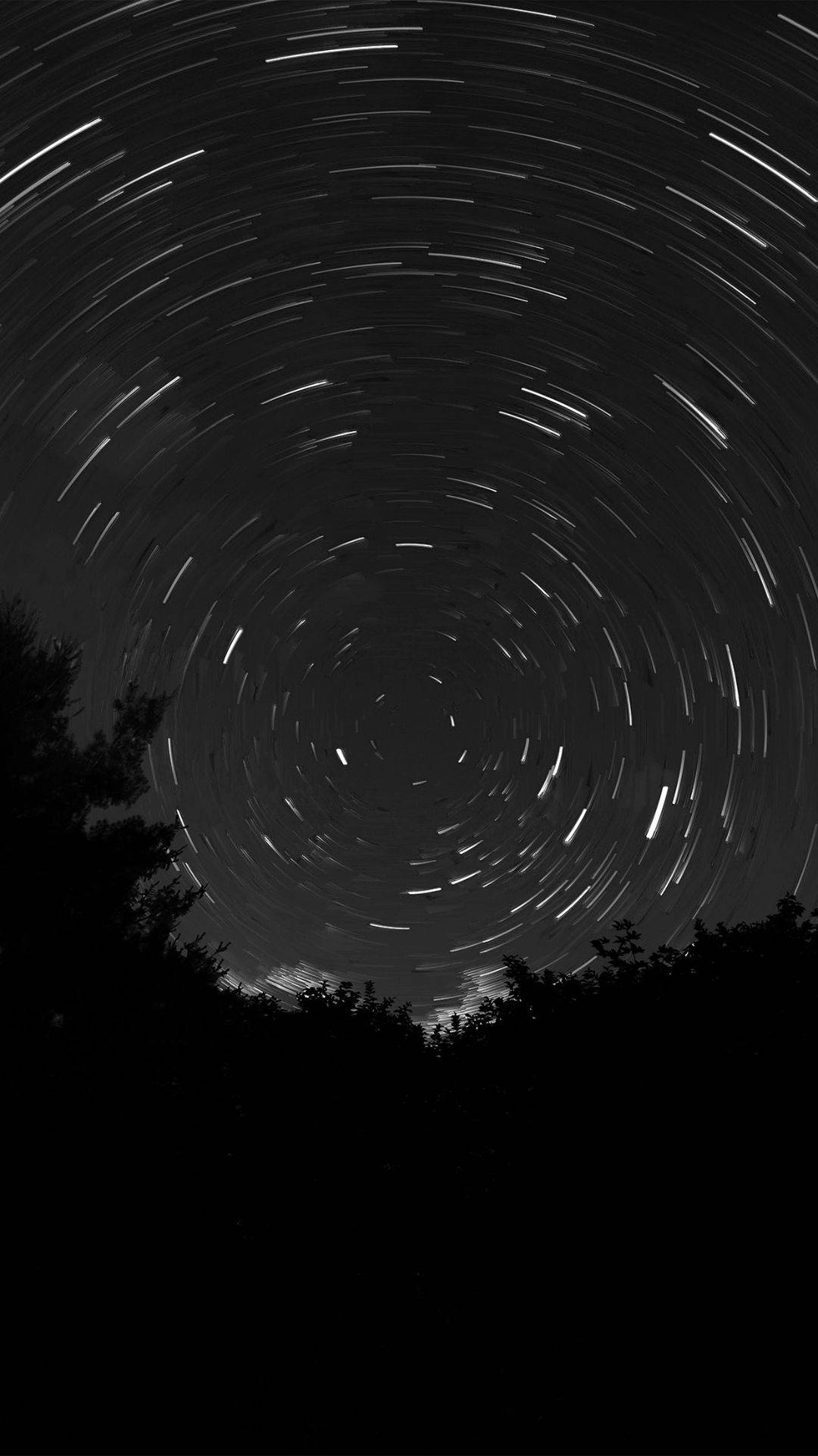 Best Dark 桌布 壁紙 — 星軌在樹影襯托的漆黑夜空中盤旋成迷人的螺旋。