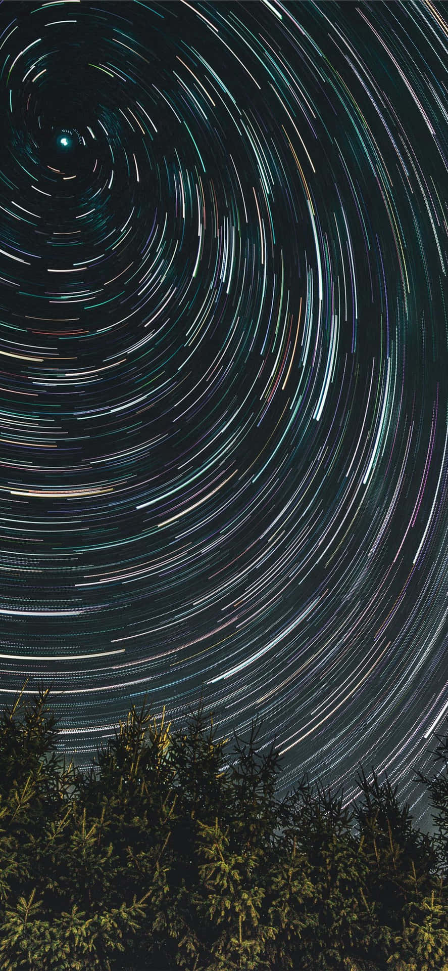 time lapse 桌布 壁紙 — 星軌在漆黑的夜空中戲劇性地旋轉，映襯著松樹的剪影。