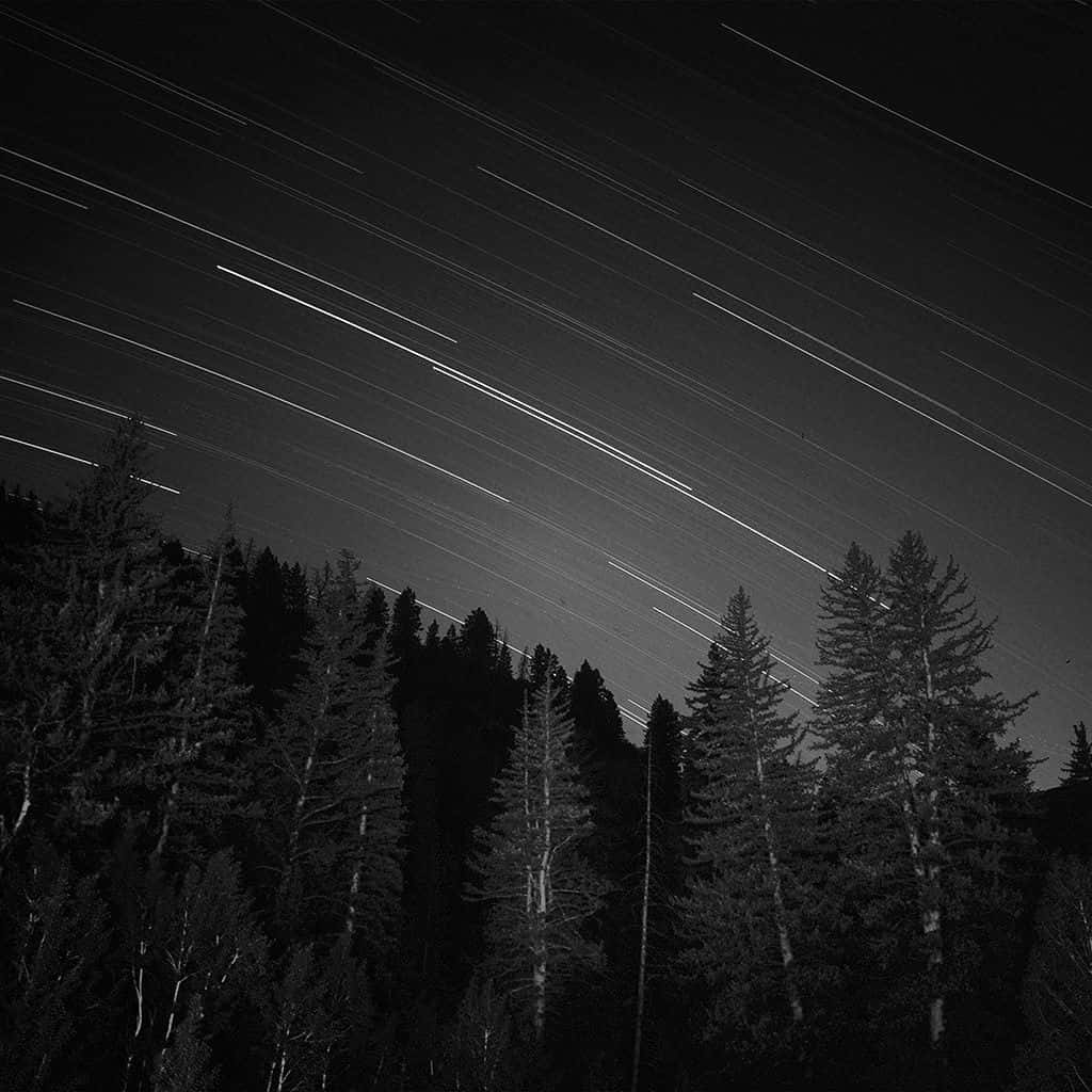 夜空 桌布 壁紙 — 星軌在黑暗的天空中劃過，下方是茂密的高大松樹林，以黑白長曝光拍攝。