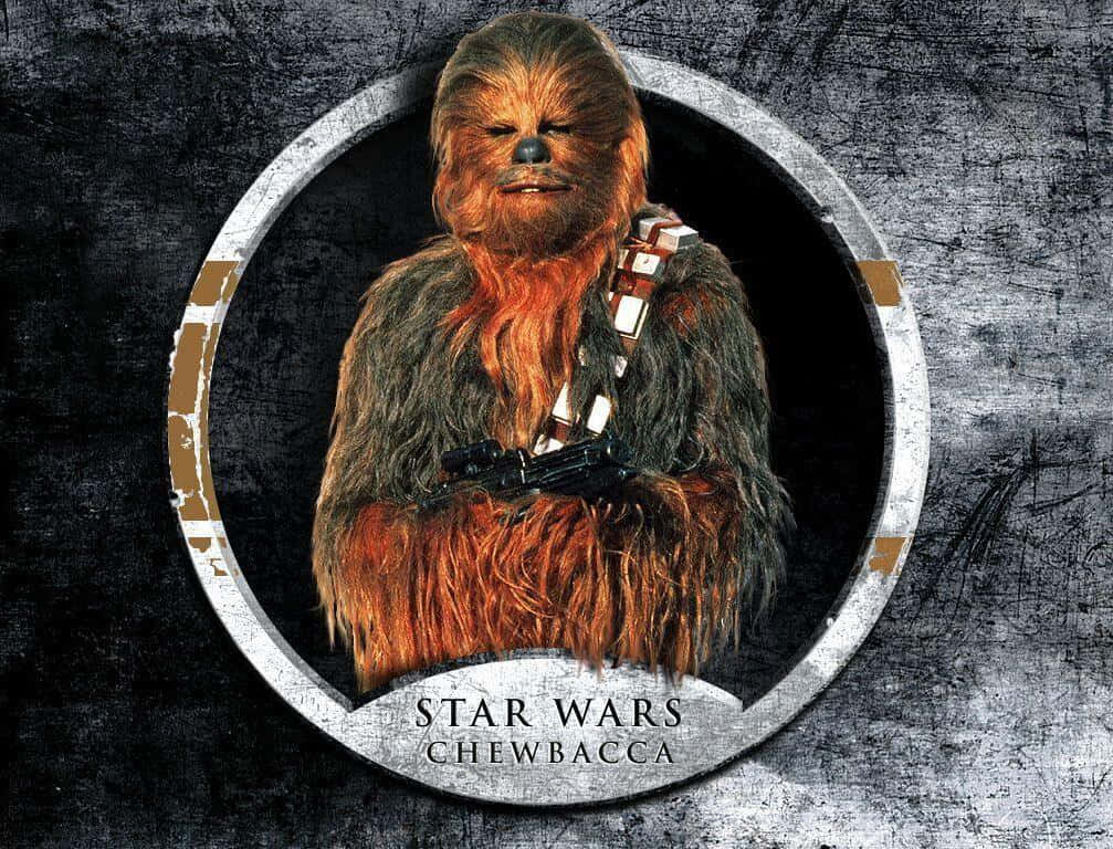 Wookiee 桌布 壁紙 — 《星際大戰》中的丘巴卡站在圓形框架內，背景是粗糙的金屬質感，手持標誌性的弩槍。