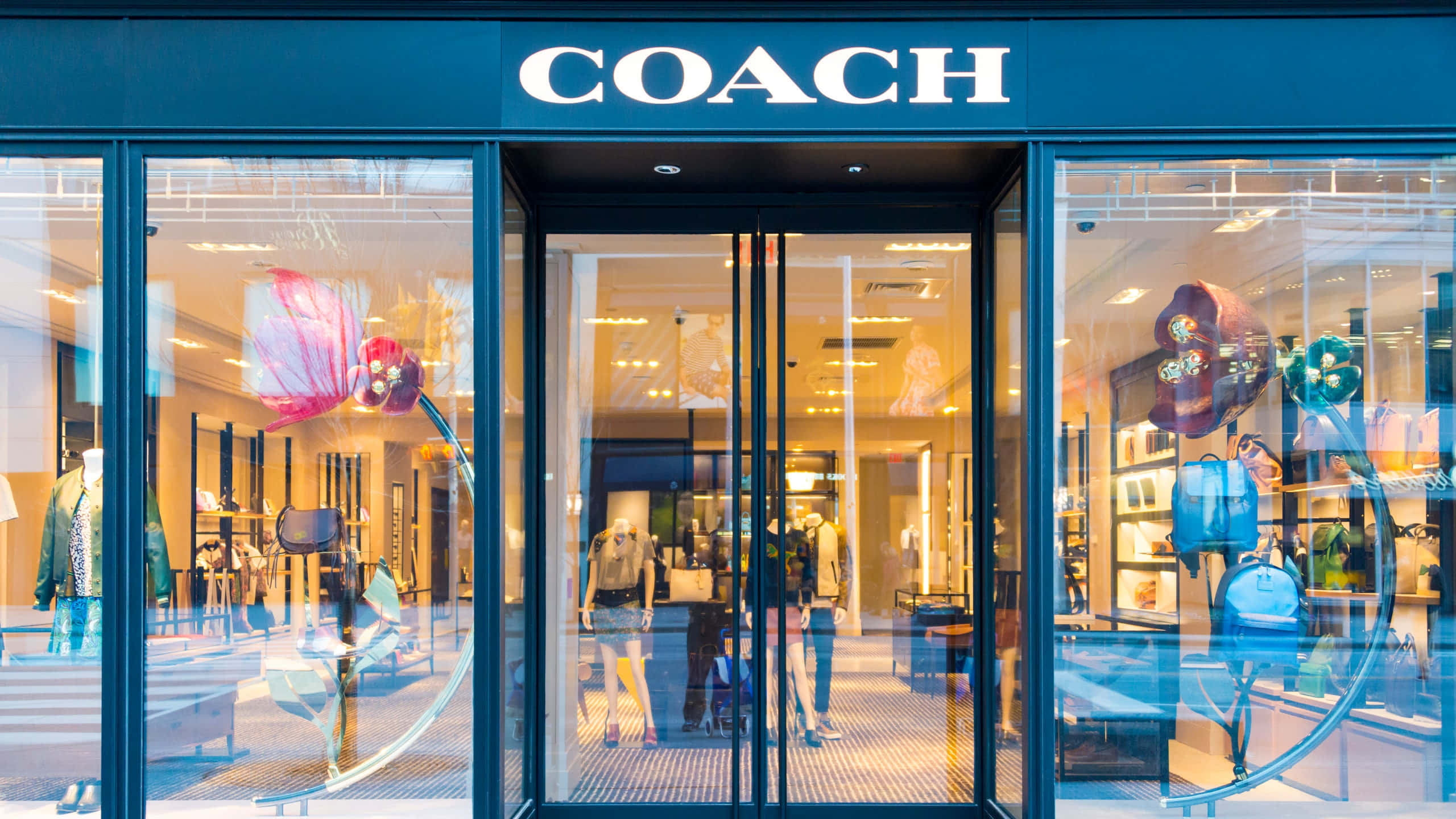 Coach 桌布 壁紙 — 時尚的Coach店舖門面，配有玻璃門和櫥窗，在溫暖的室內燈光下展示奢華手袋和服裝。
