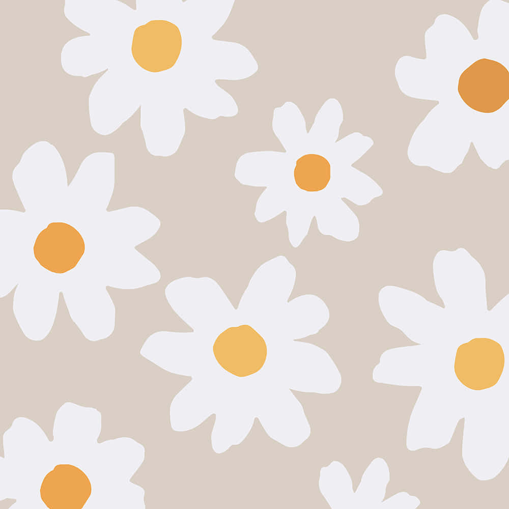 Daisies 桌布 壁紙 — 時尚簡約的雛菊，白色花瓣和橙色花心，漂浮在柔和的米色背景上。