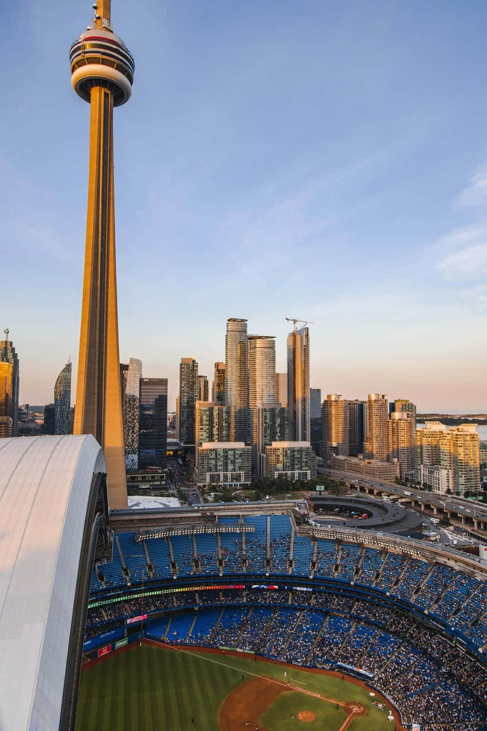 Toronto 桌布 壁紙 — 晴朗天空下，一個擠滿球迷的棒球場，標誌性的CN塔在黃金時段的城市天際線上巍然聳立。