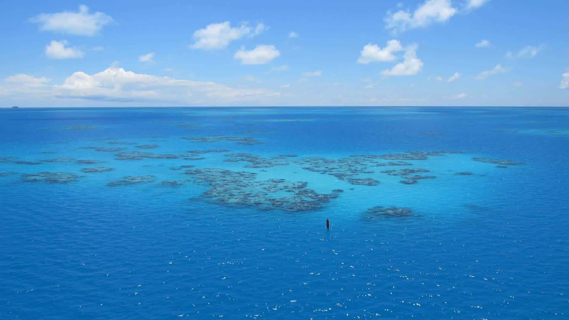 Bermuda Triangle 桌布 壁紙 — 晴朗天空下，無盡藍色海洋中散落著充滿活力的綠松石珊瑚礁的鳥瞰圖。
