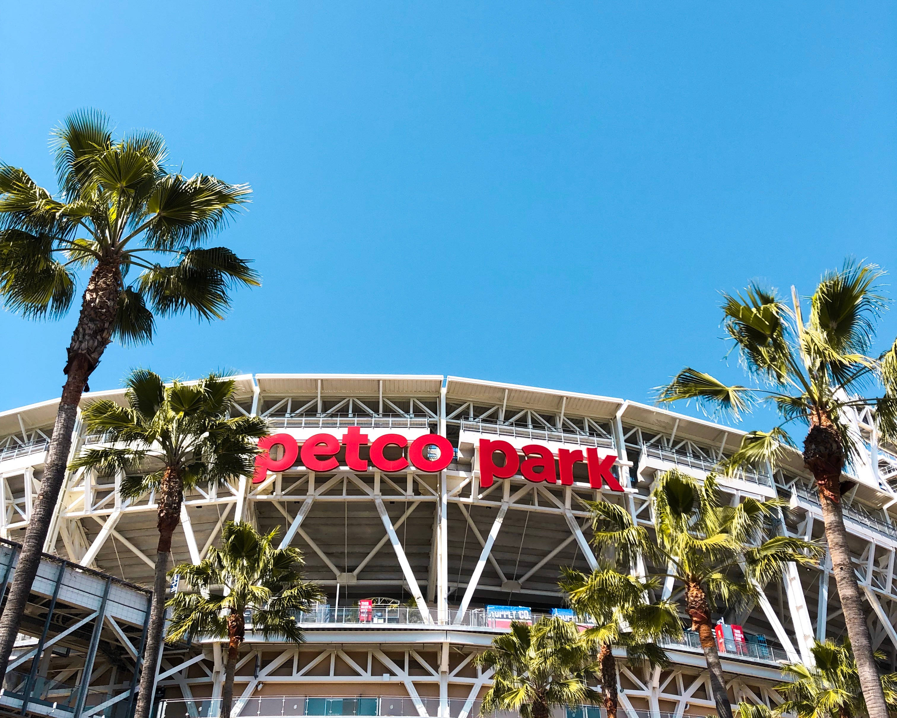 Padres 桌布 壁紙 — 晴朗日子，Petco Park 球場在清澈藍天下，被高大的棕櫚樹環繞。