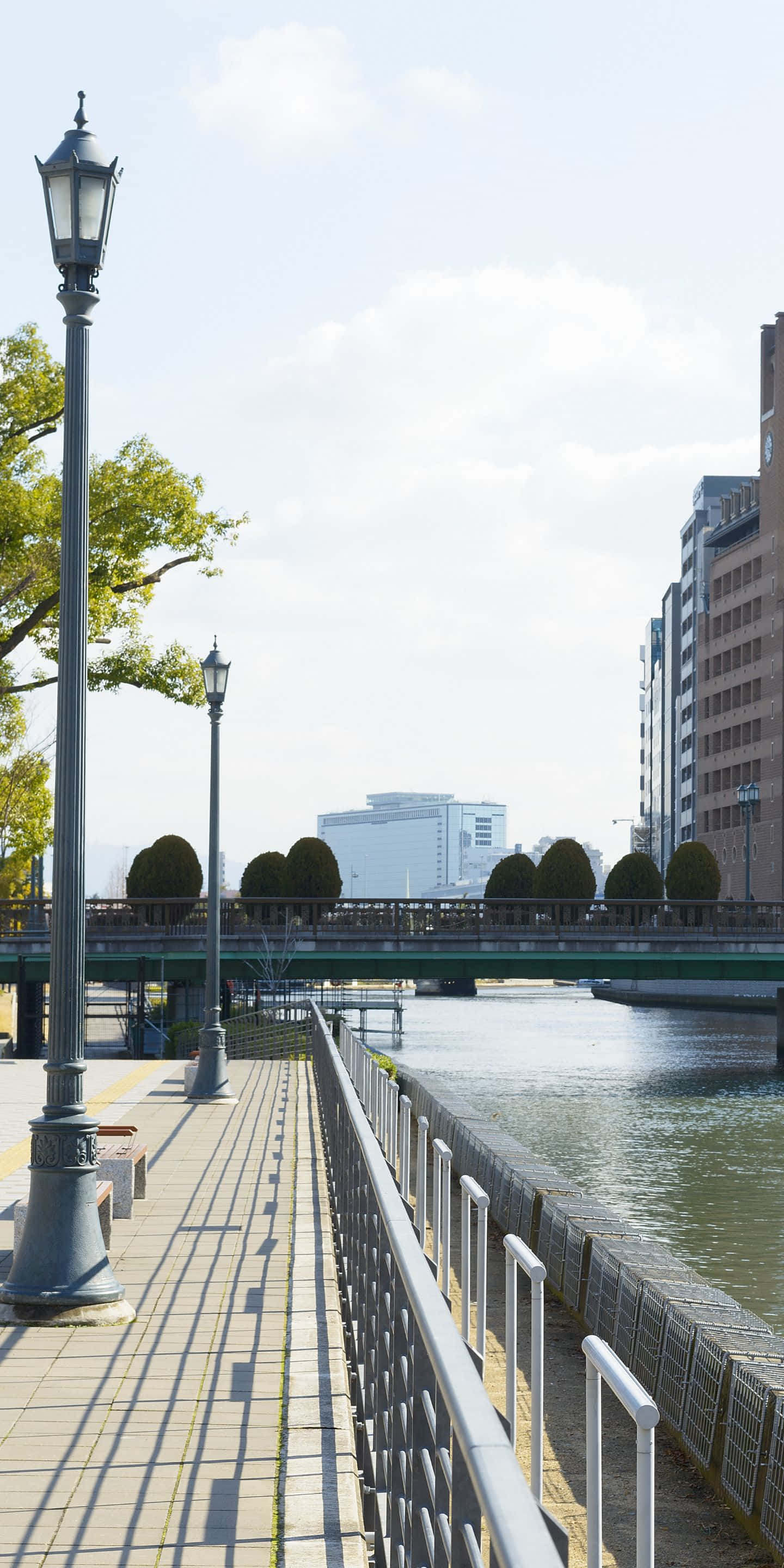 1440x2880 桌布 壁紙 — 晴朗的一天，沿著寧靜的城市運河，背景有經典路燈和現代建築。