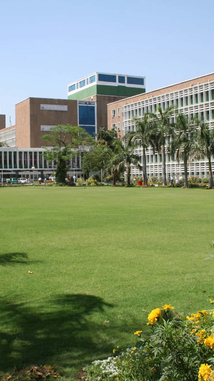  壁紙 — 晴朗的一天，現代大學校園內有翠綠的草坪、棕櫚樹和色彩繽紛的花朵，天空湛藍。