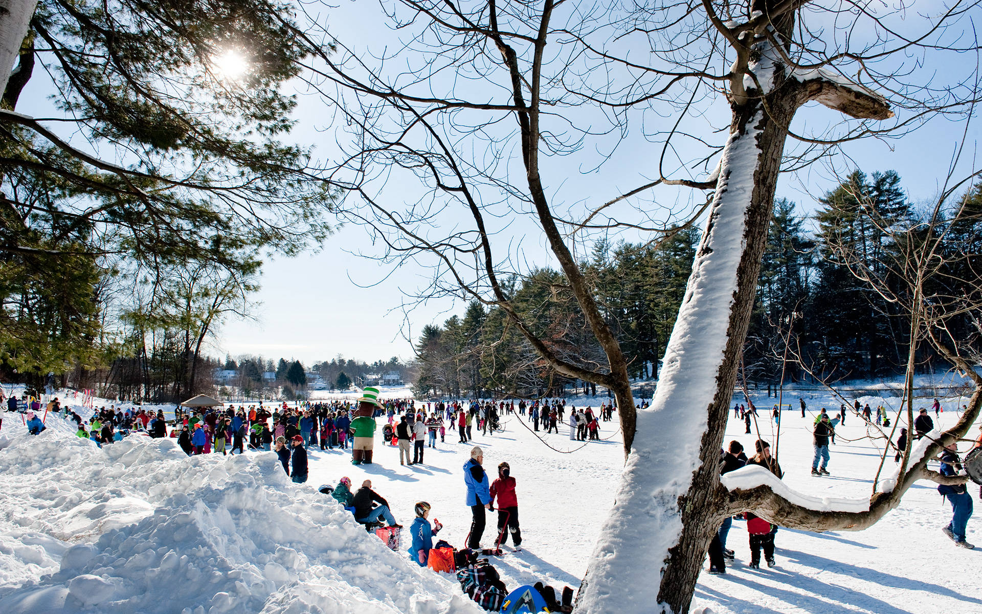 雪 桌布 壁紙 — 晴朗的冬日，人們在白雪覆蓋的公園裡享受雪地活動，周圍是光禿的樹木和常青樹。