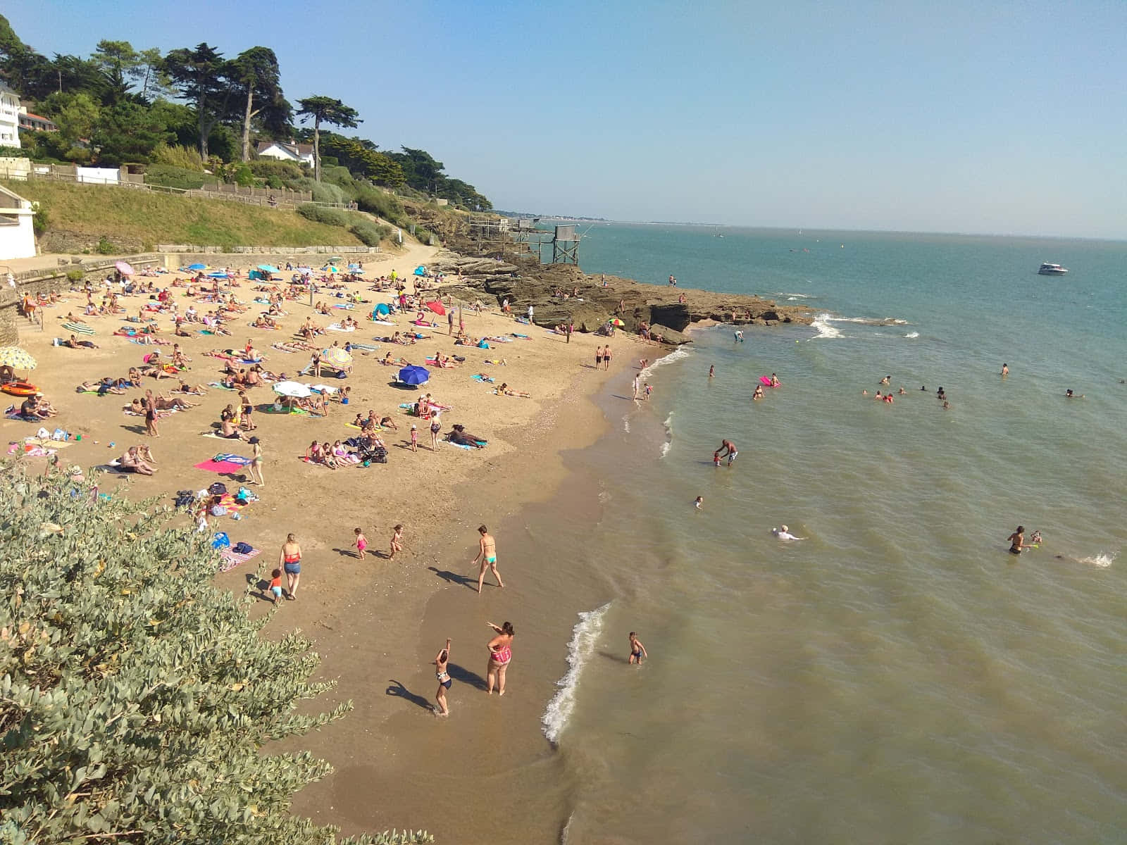 French Beach 桌布 壁紙 — 晴朗藍天下，熱鬧的沙灘上擠滿了享受日光浴和游泳的人們，溫柔的海浪輕輕拍打著海岸。