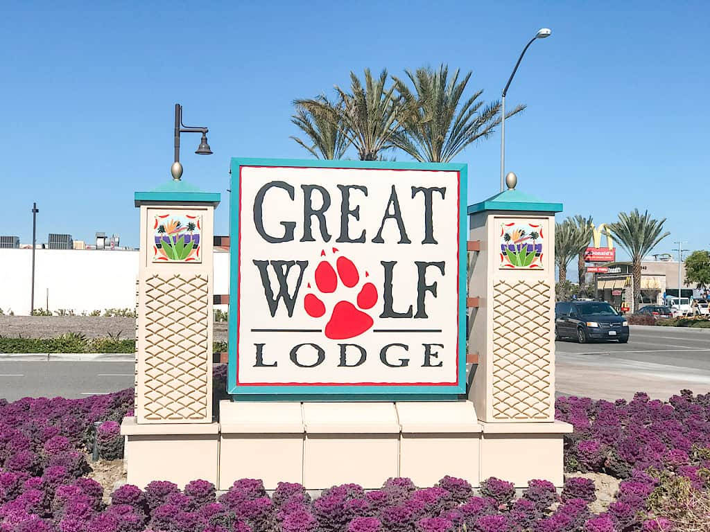 飯店 桌布 壁紙 — 晴朗藍天下，紫色花朵和棕櫚樹環繞的明亮 Great Wolf Lodge 標誌。