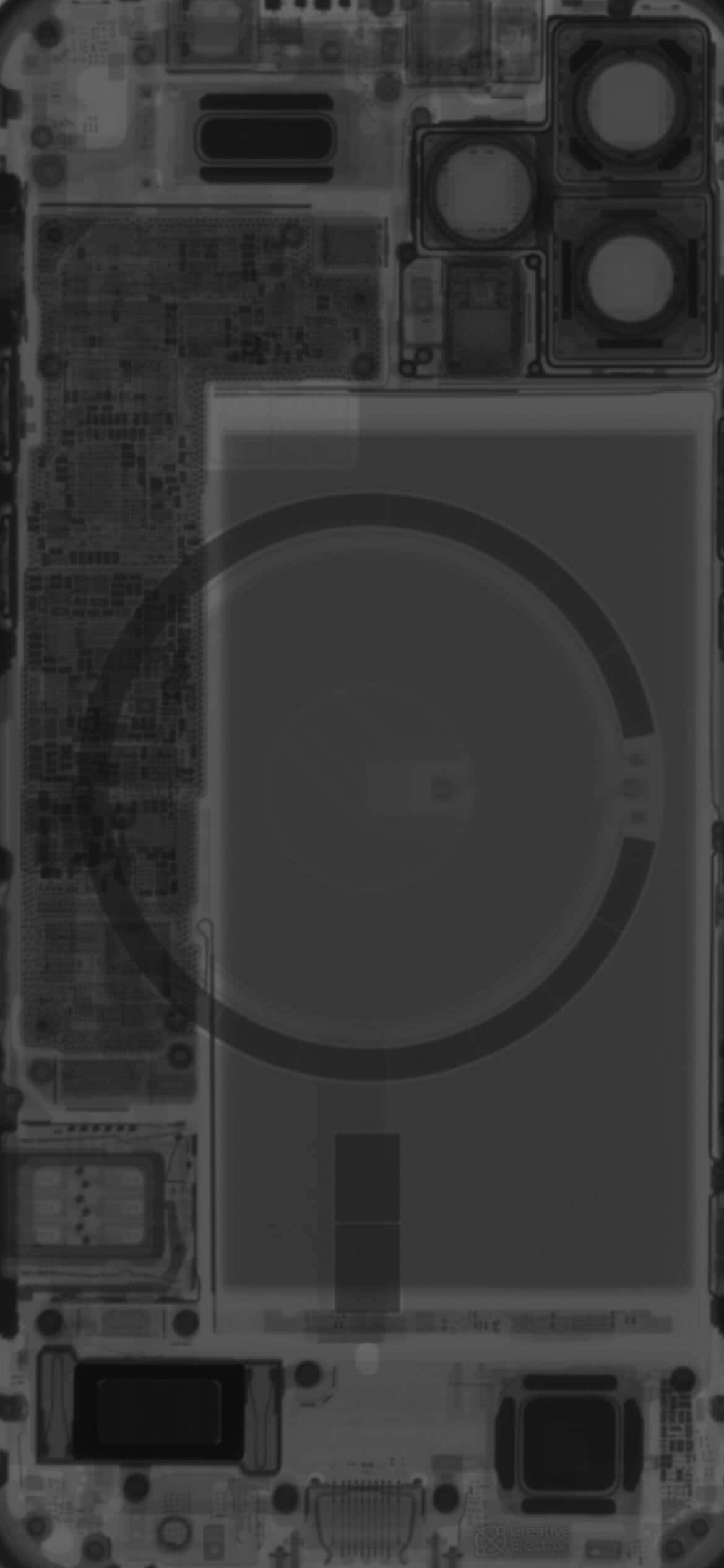 桌布 壁紙 — 智慧型手機內部X光視圖，以單色顯示電路、相機模組和電池倉。