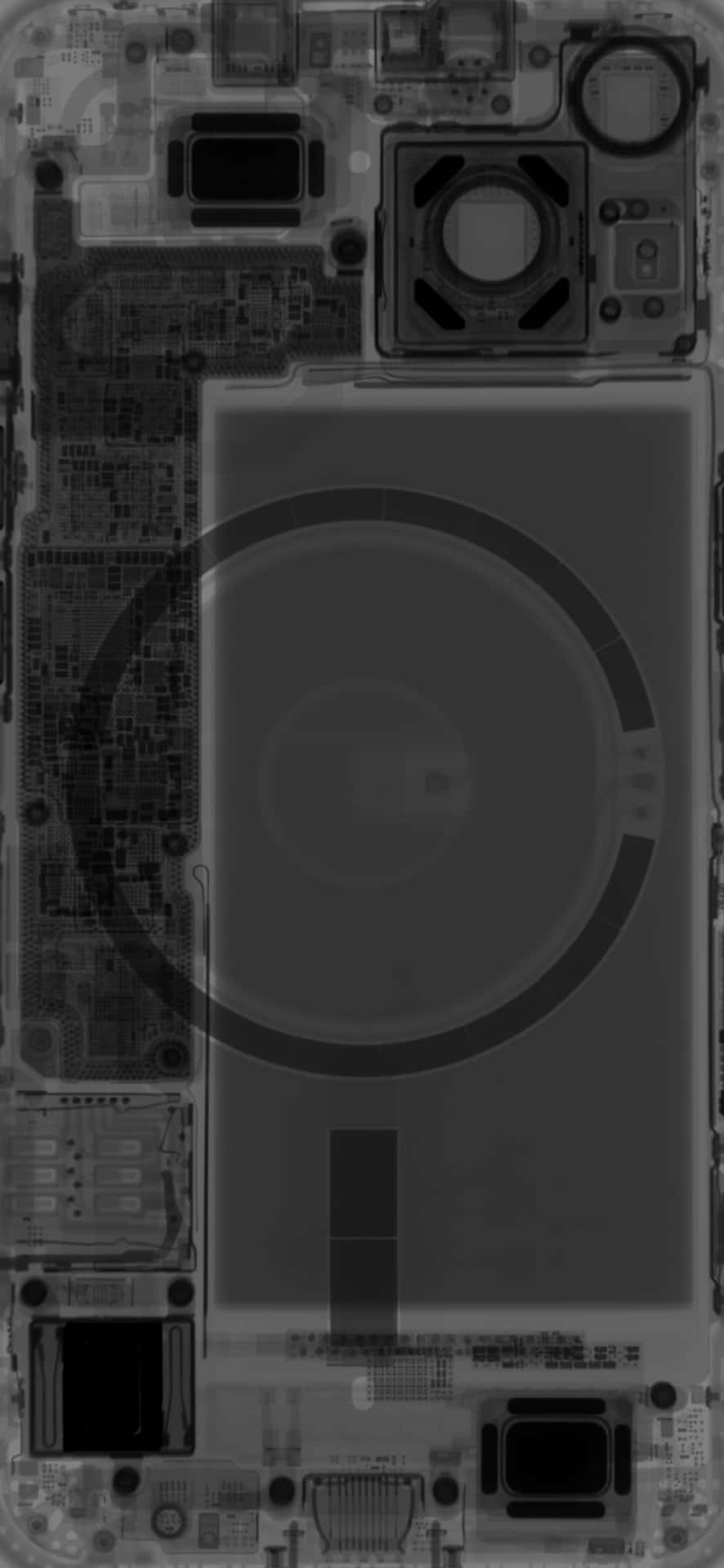 iPhone 13 Mini 桌布 壁紙 — 智慧型手機內部元件的X光視圖，以灰階顯示電路板、電池和相機模組。