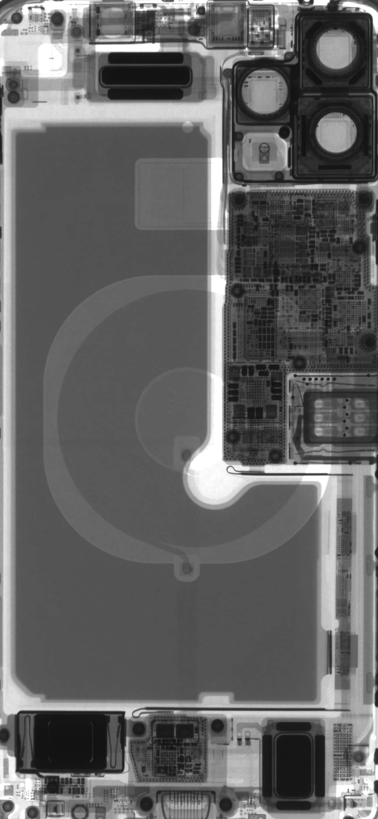 iPhone 11 Pro Max 桌布 壁紙 — 智慧型手機內部電路的X光視圖，以單色揭示複雜的元件和佈局。