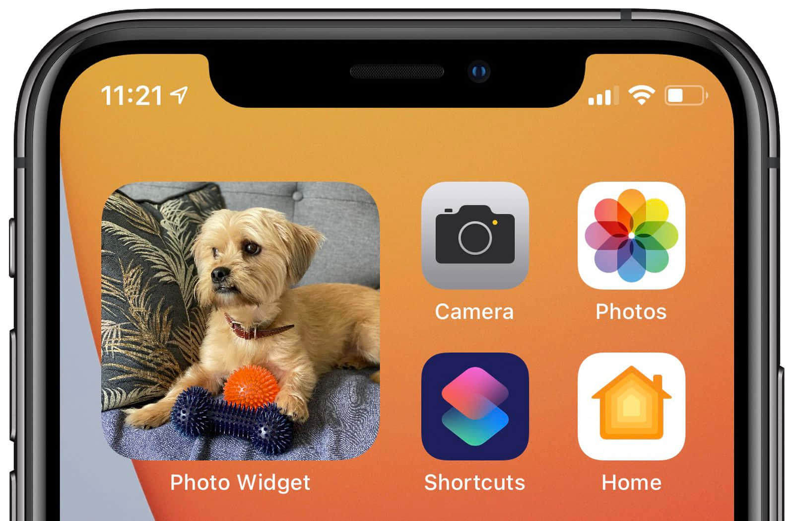 智慧型手機主螢幕，帶有狗照片小工具和應用程式圖標。 — iPhone 14 壁紙