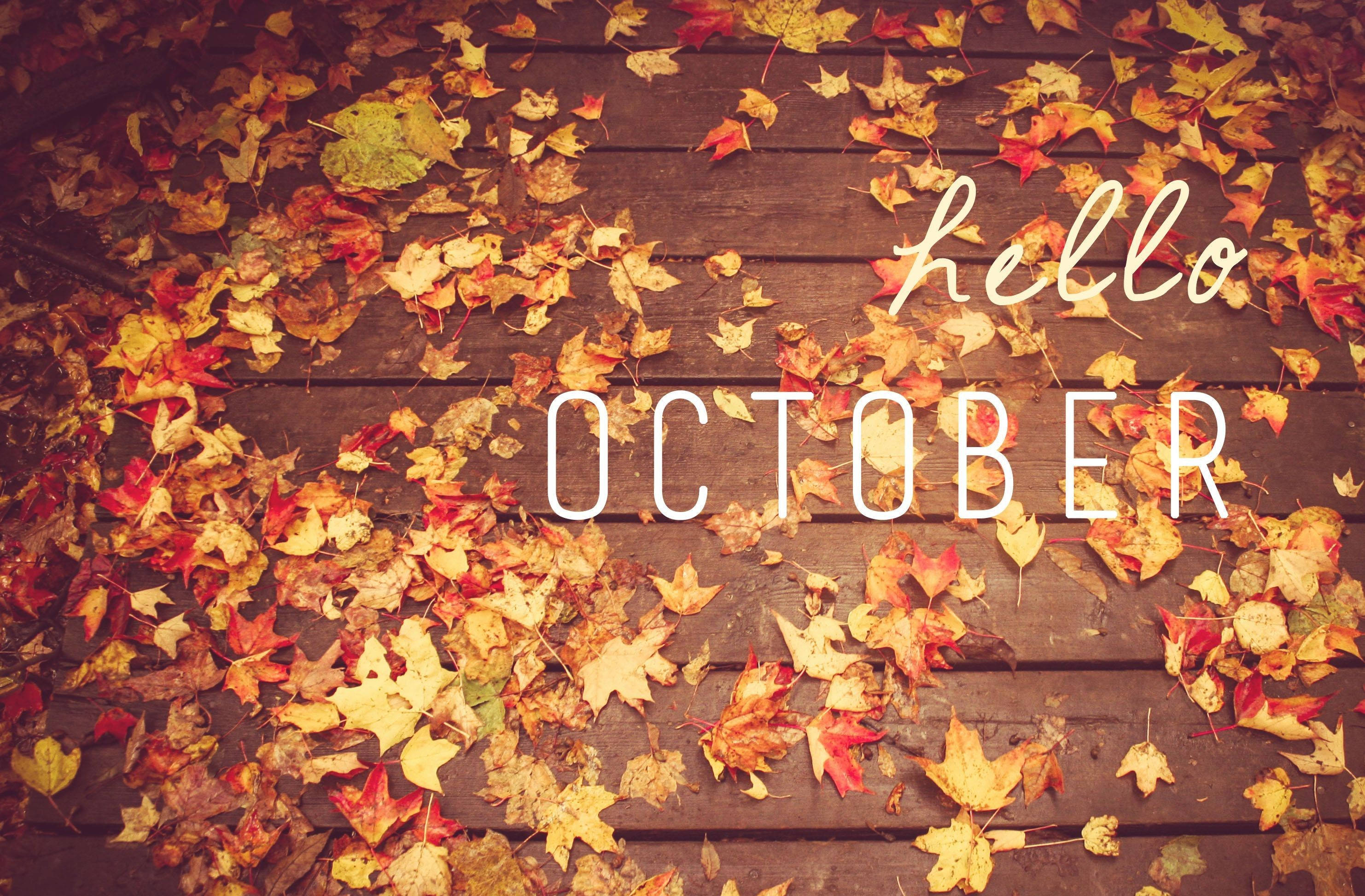 Hello 桌布 壁紙 — 暖色調的秋葉覆蓋木質甲板，帶有 'hello october' 文字疊加。
