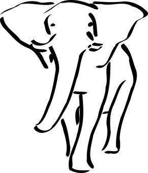 暗夜中的大象 壁紙
