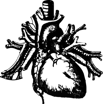 暗夜天空下的愛心形狀樹木 壁紙