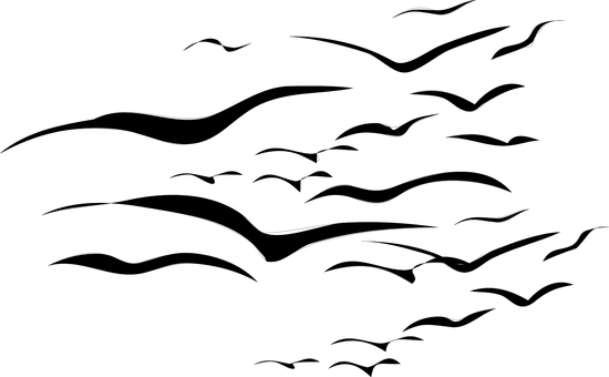 暗夜天際空白畫布 — 天空 壁紙