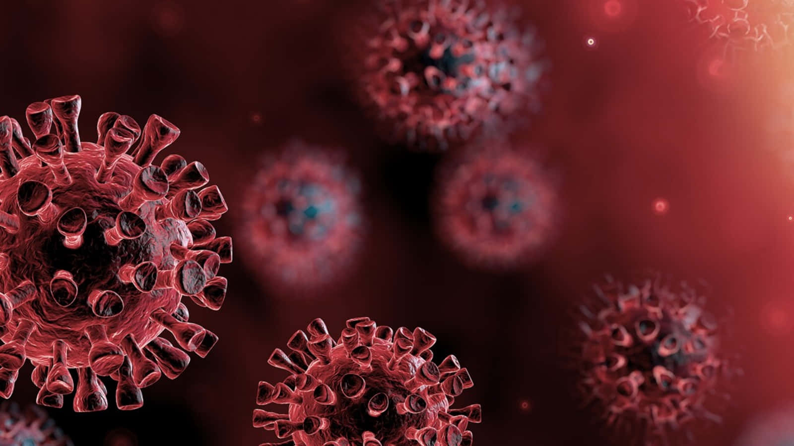 Coronavirus 桌布 壁紙 — 暗紅色背景中帶有發光高光的紅色尖刺病毒顆粒特寫。