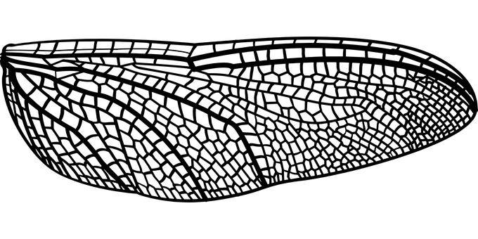 暗色空白畫布 壁紙
