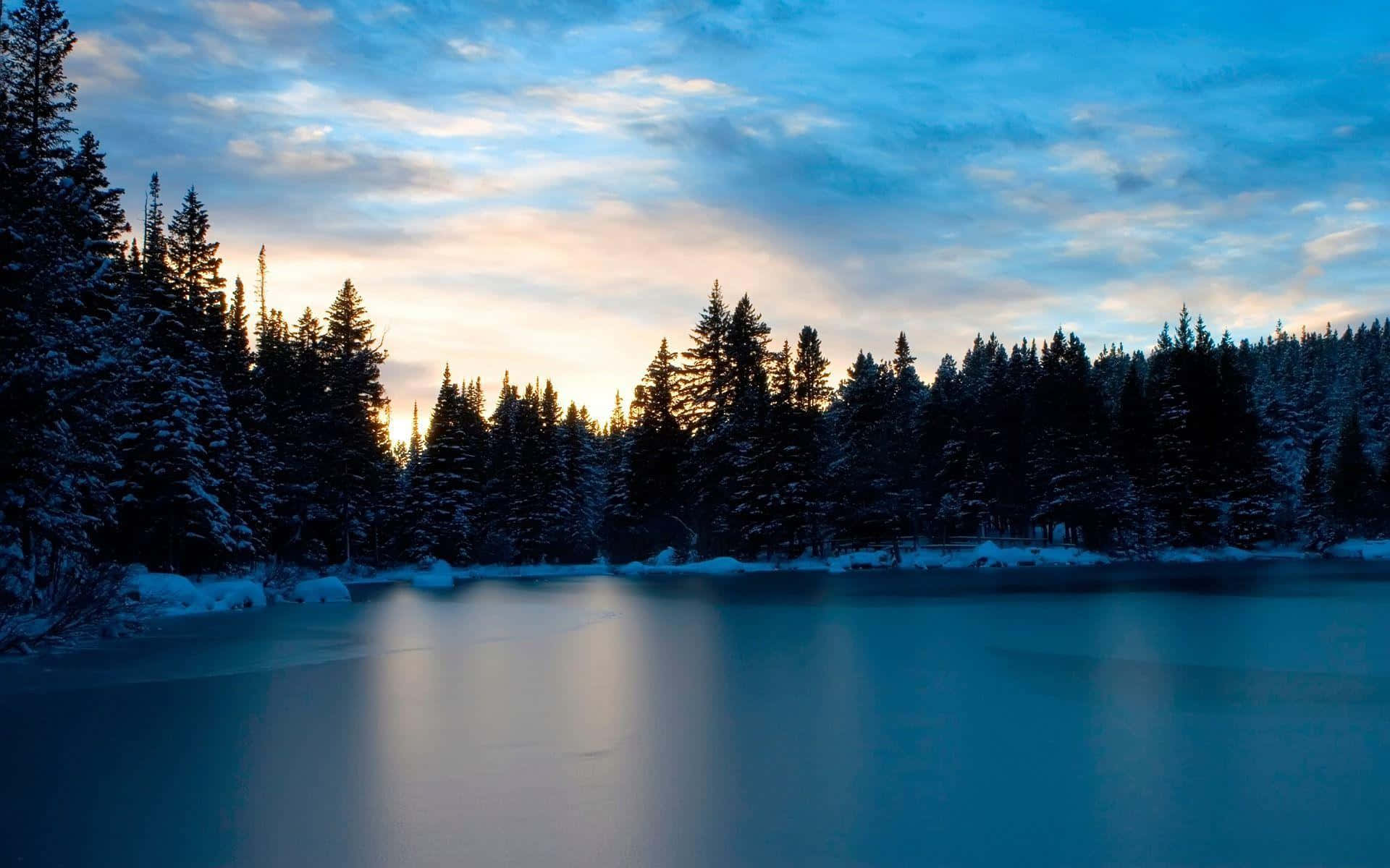 Frozen Lake 桌布 壁紙 — 暮色中，冰凍的湖面倒映著藍天下雪松後柔和的金色夕陽。