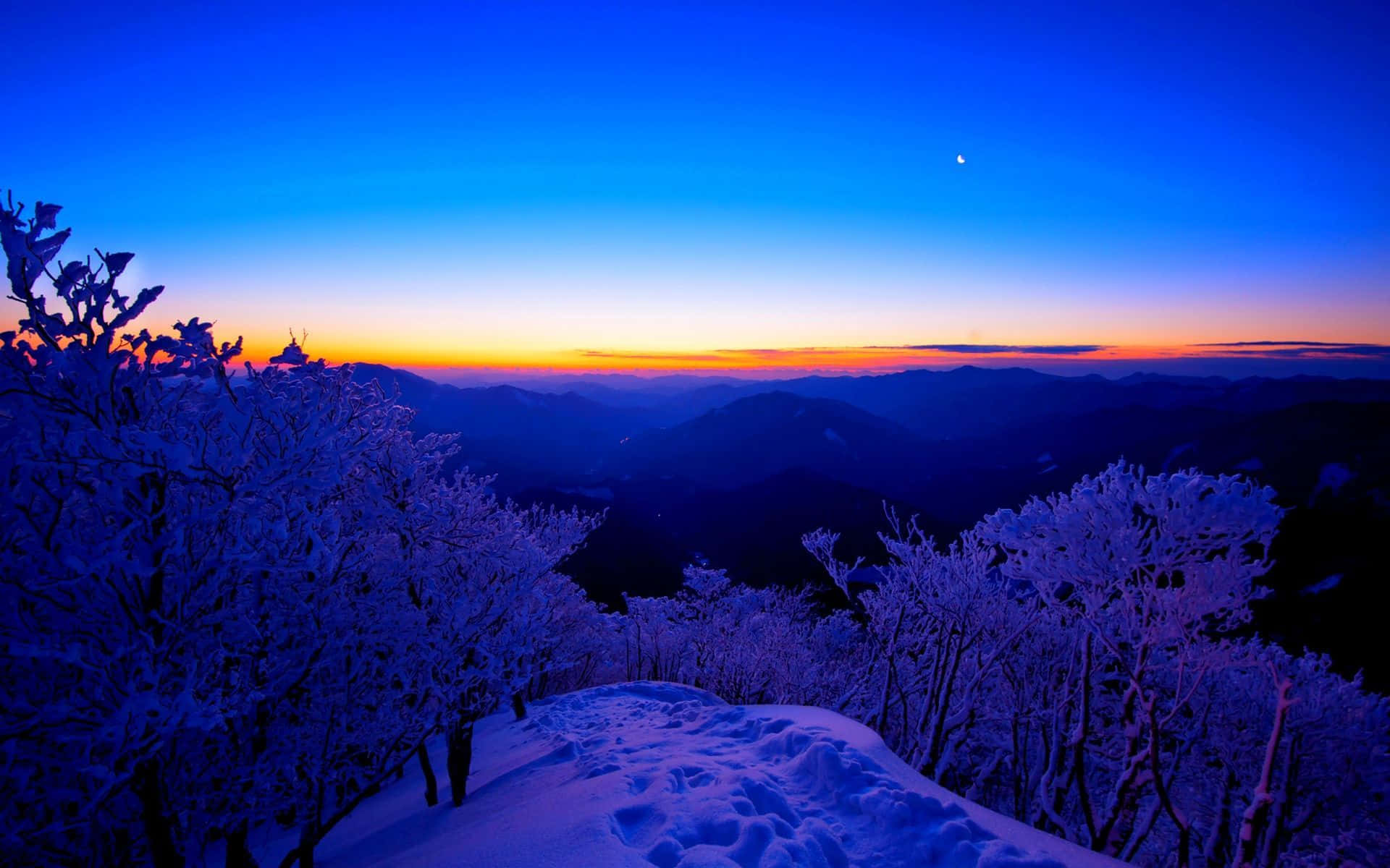 winter solstice 桌布 壁紙 — 暮色中白雪覆蓋的山脊，霜凍的樹木，深藍色天空下新月映襯的鮮豔橙色地平線。