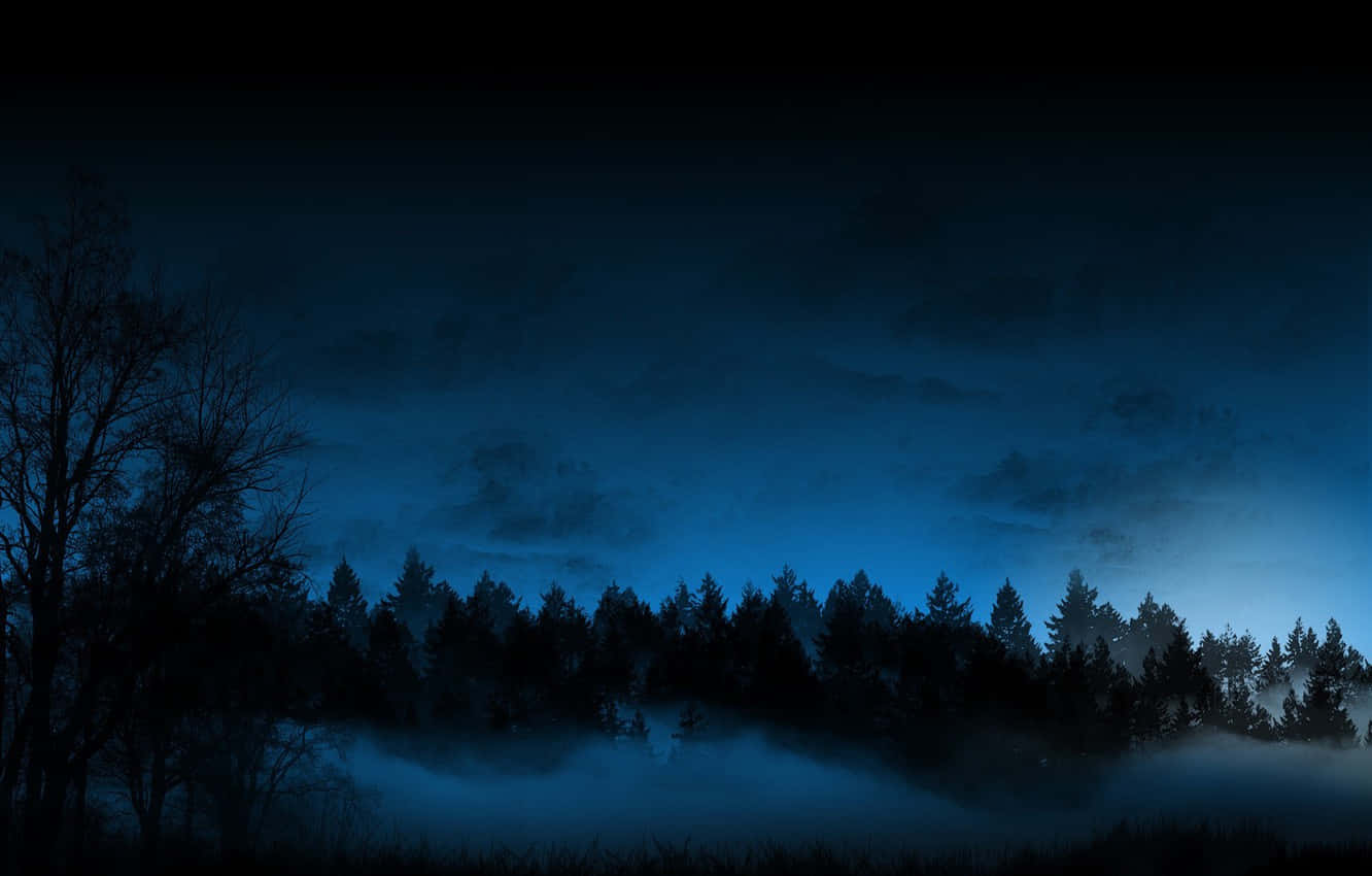 Night Forest 桌布 壁紙 — 暮色中霧氣瀰漫的森林，深藍色天空下樹木的黑色剪影，天空散發著環境光。