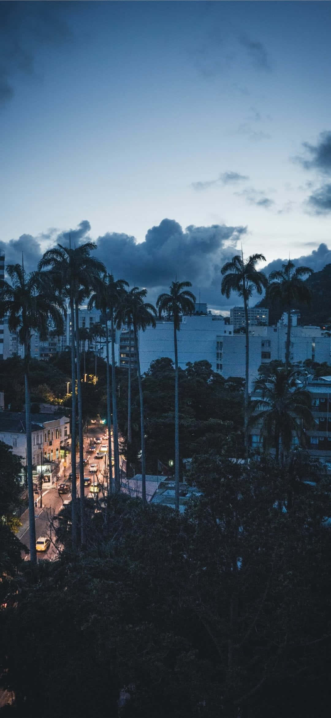 iPhone 桌布 壁紙 — 暮色城市景觀，棕櫚樹在昏暗的藍色天空下形成剪影，下方是發光的街燈。