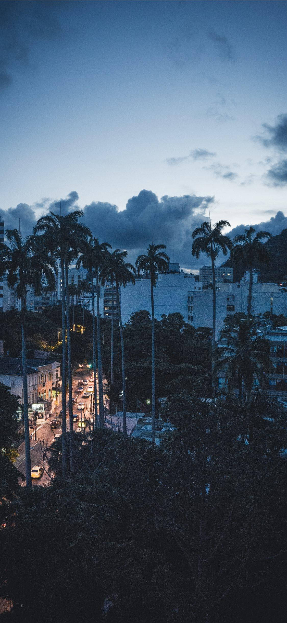 棕櫚樹 桌布 壁紙 — 暮色城市景觀，棕櫚樹襯托著一條被溫暖車燈照亮、背景是深藍色天空的街道。