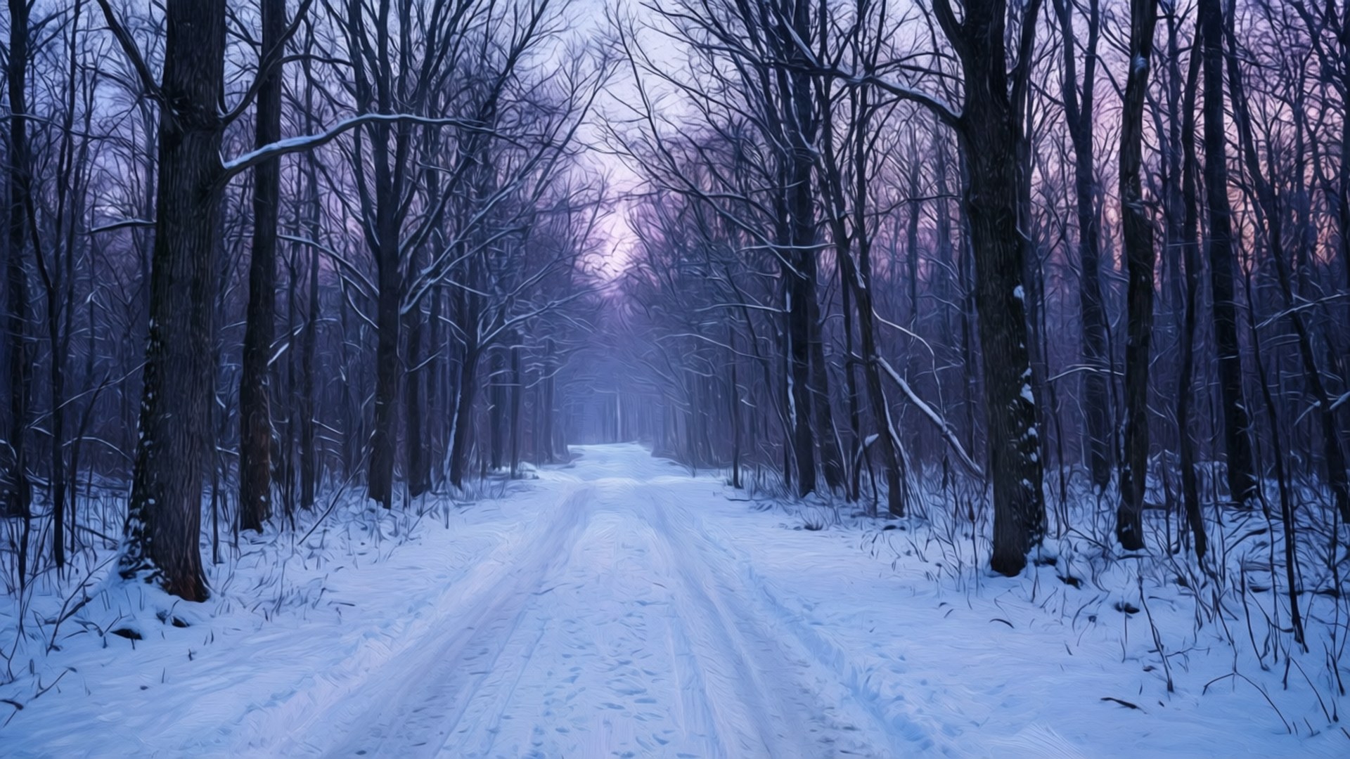 暮雪森林 壁紙