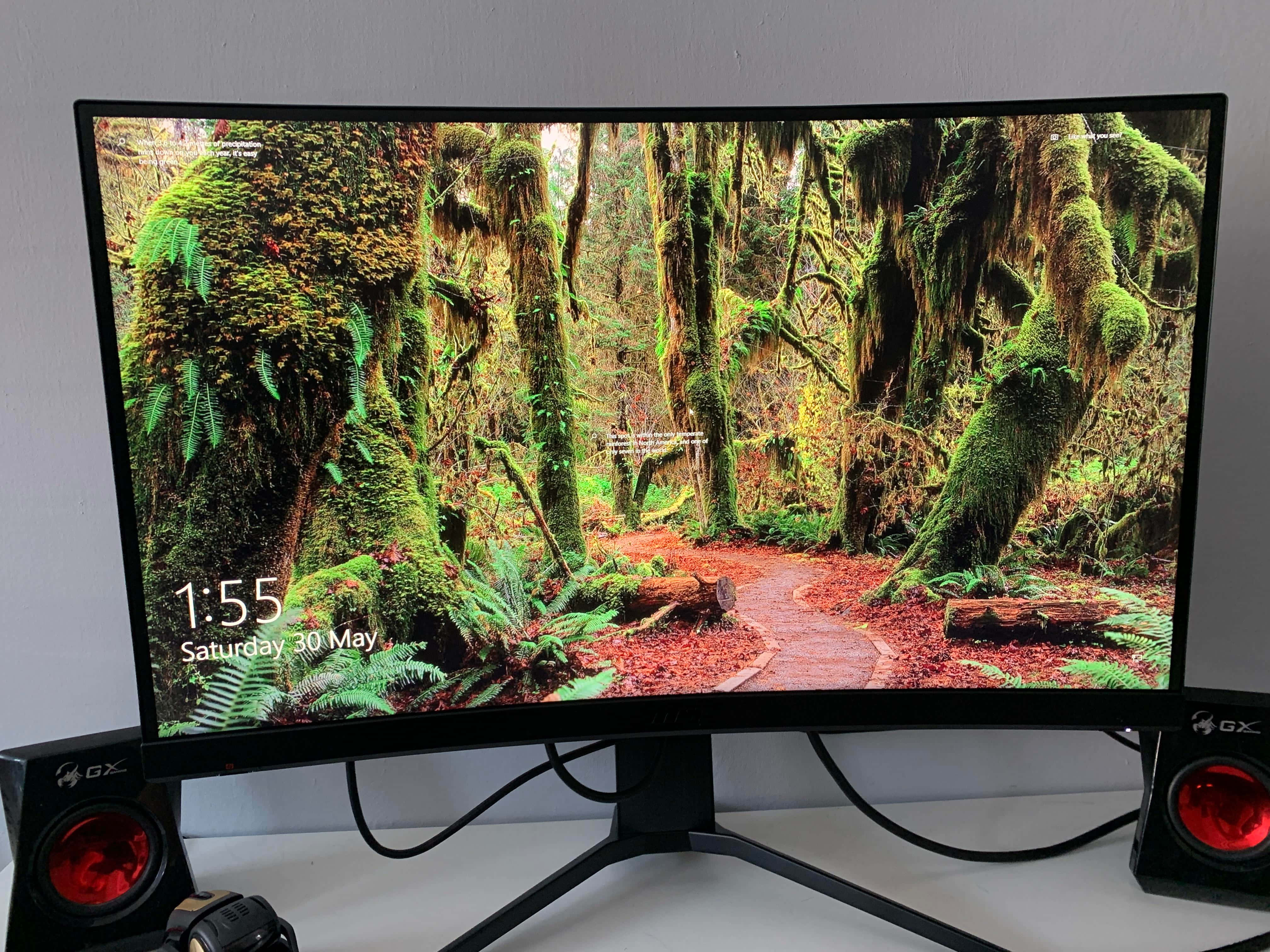 msi 2560x1080 桌布 壁紙 — 曲面顯示器展示一條充滿活力的苔蘚森林小徑，蜿蜒穿過高聳的樹木，兩旁有蕨類植物和倒下的樹幹。