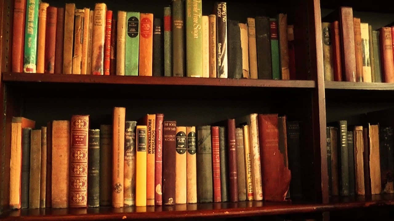 書架上擺滿了許多書 壁紙
